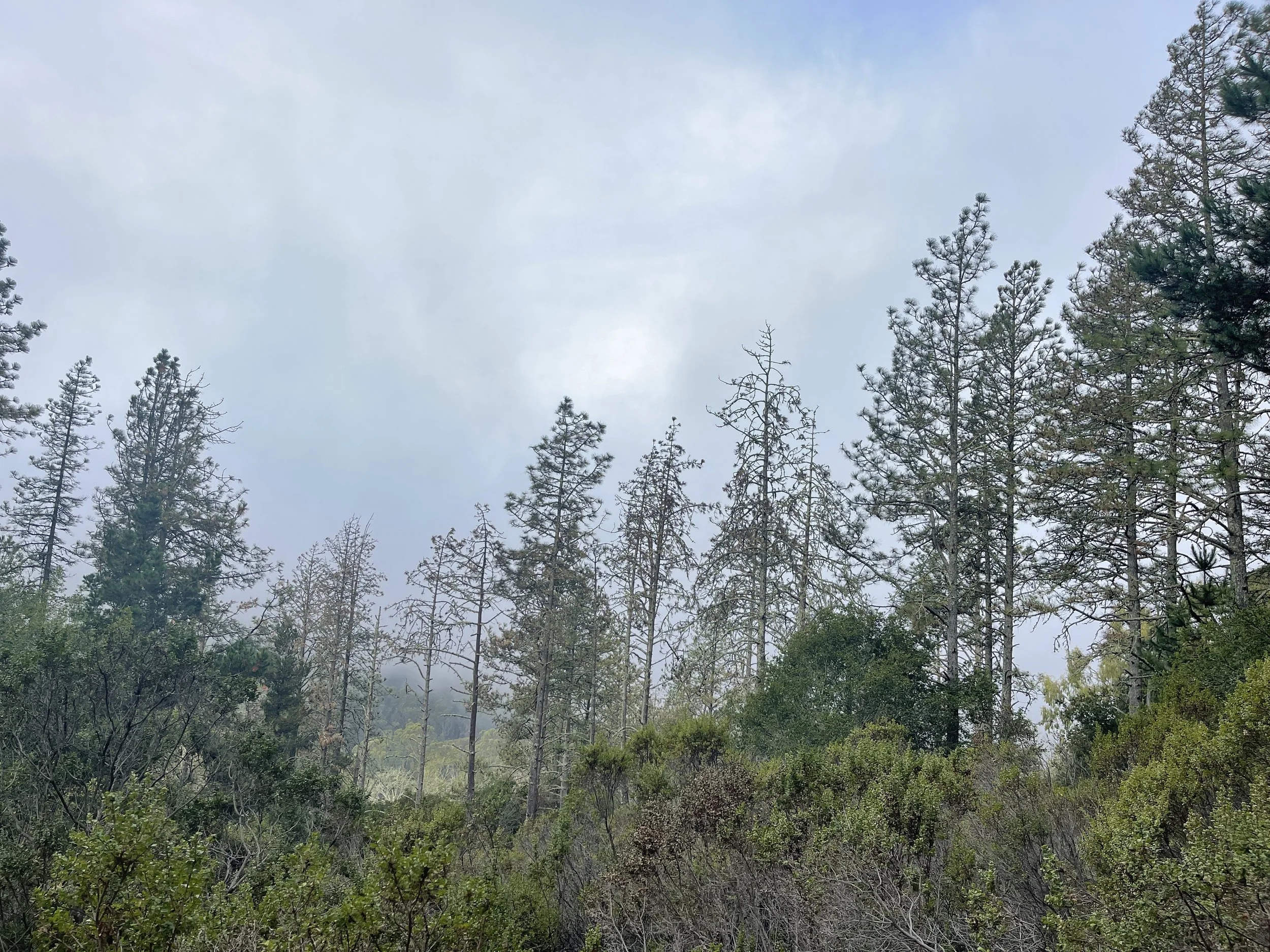 The Power of Feeling your Feelings