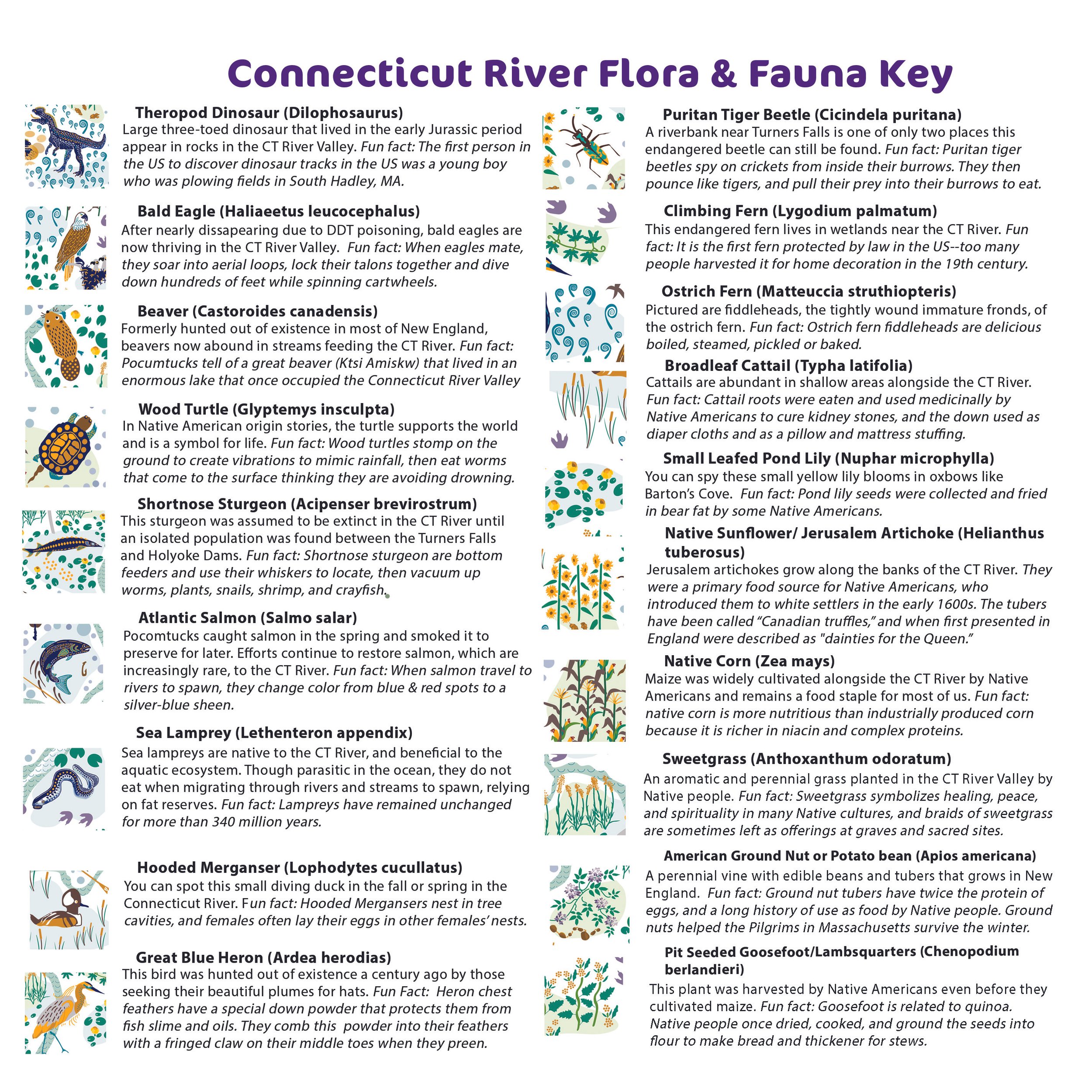 Jigsaw Puzzle keys — Ms GreenJeanne Design: home products with ...
