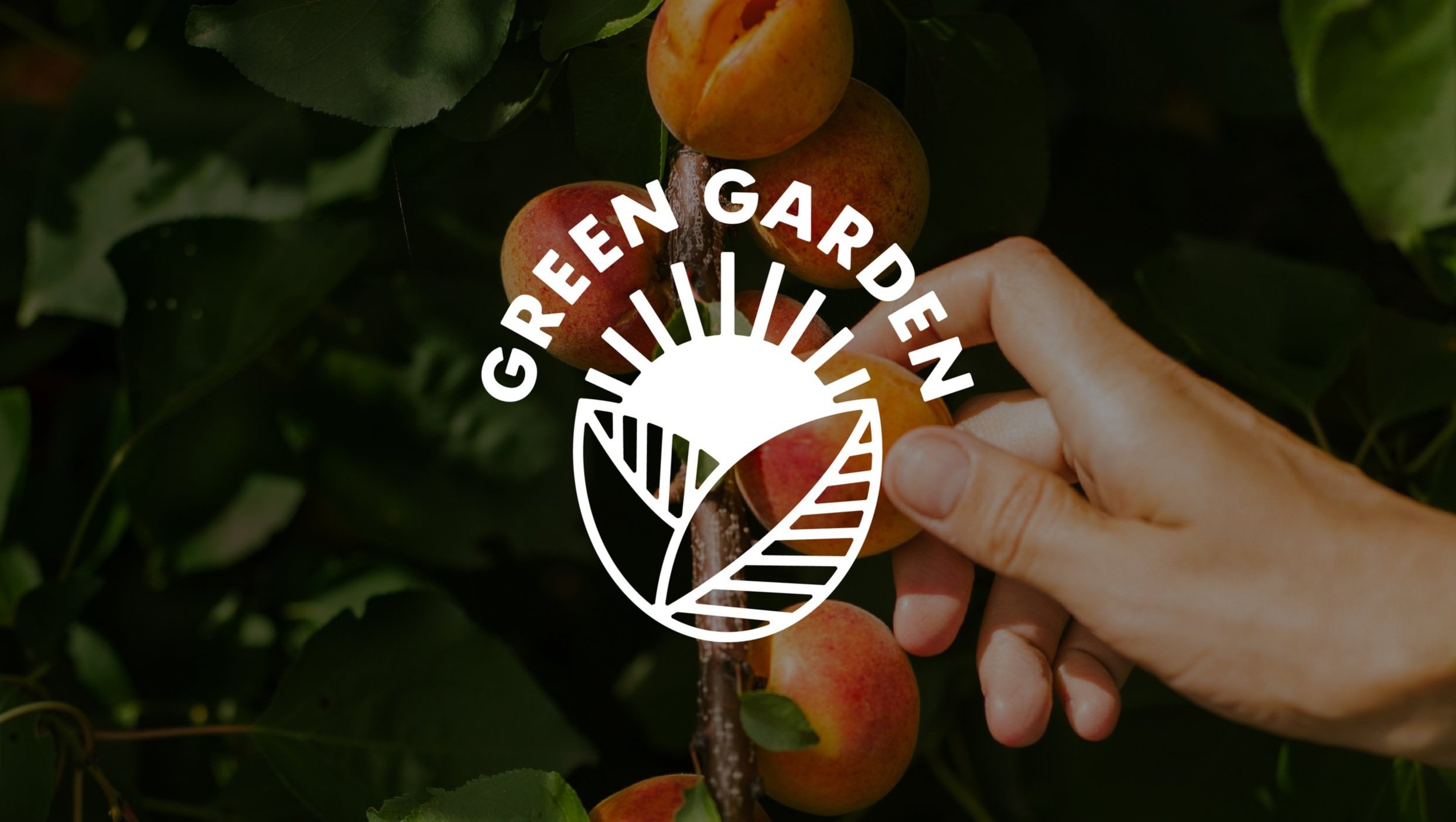 Green Garden Brand Design | Logo