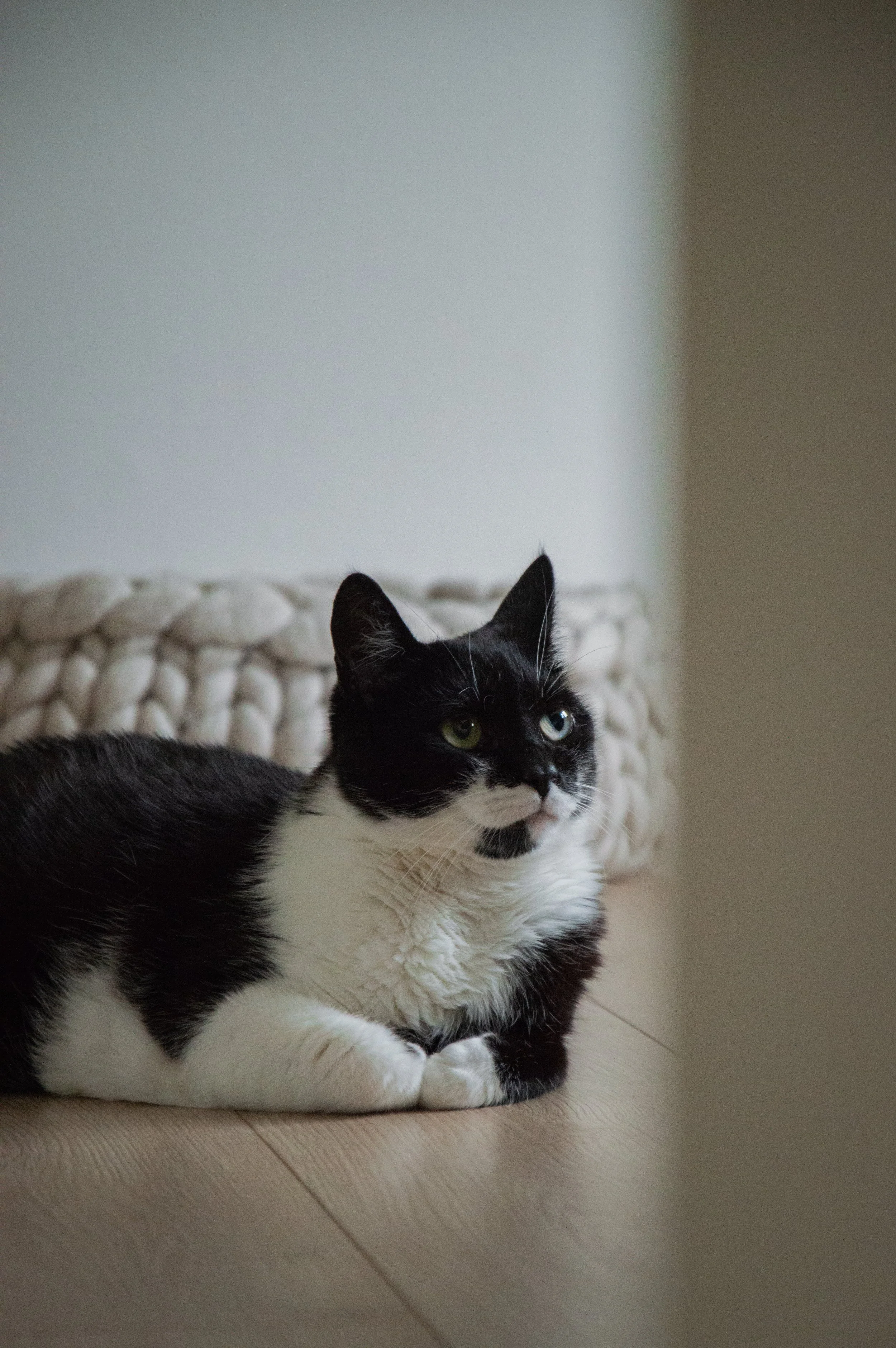 DSC_0834.jpg