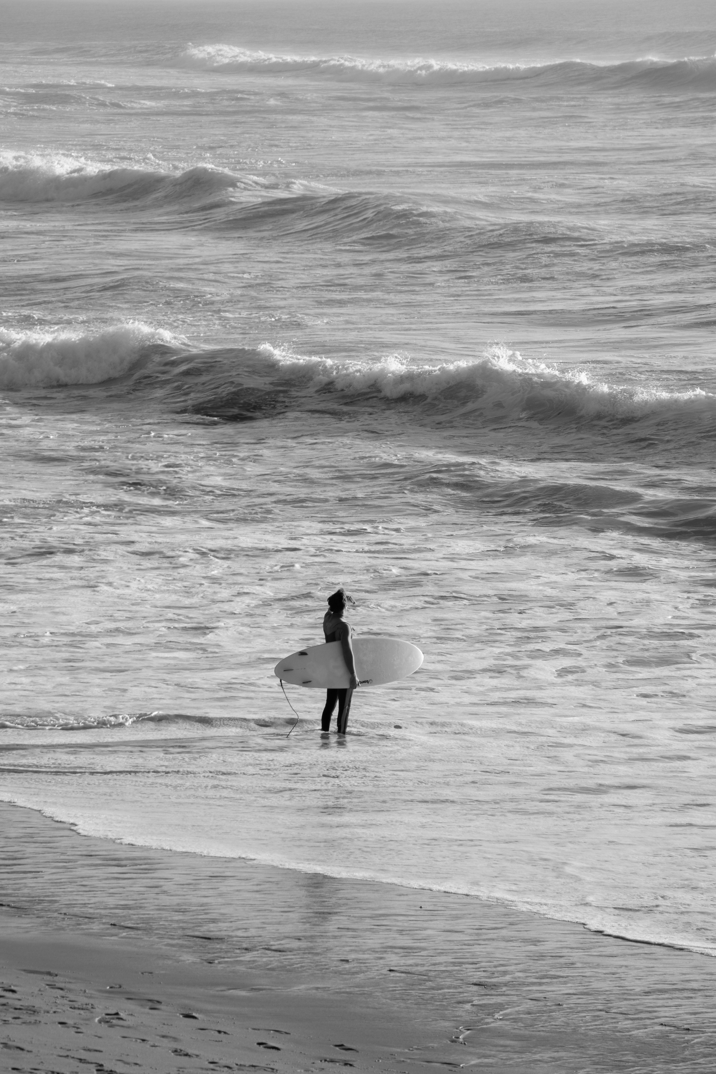 DSC_0233.jpg