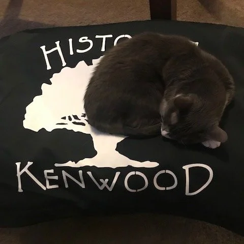 Meet Gatsby the Cat. Many friends and neighbors all know Gatsby, as he moved into the neighborhood a little over 13 years ago! A true cat of Kenwood.  All pets current or from the past are welcome for a shout out! How will be in the comments.