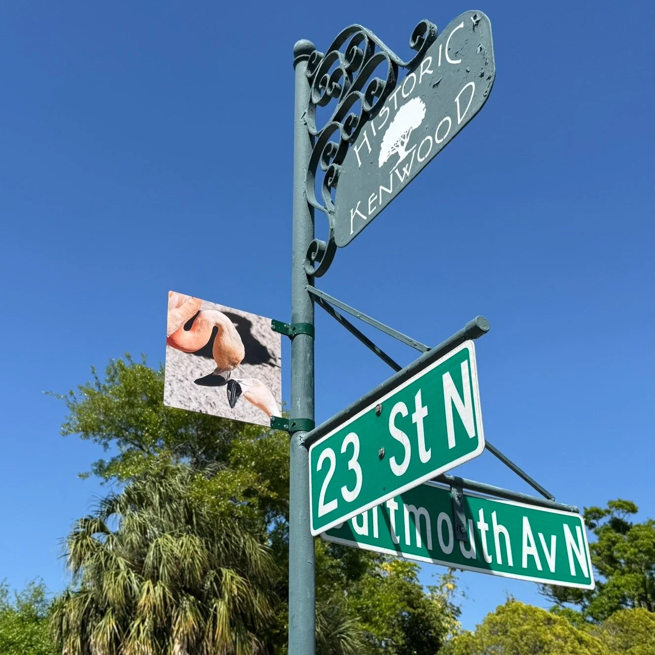 Even the flamingos fall in love in Historic Kenwood! 💕🦩🦩 Hope you and your flock enjoy a sunny neighborhood stroll today.