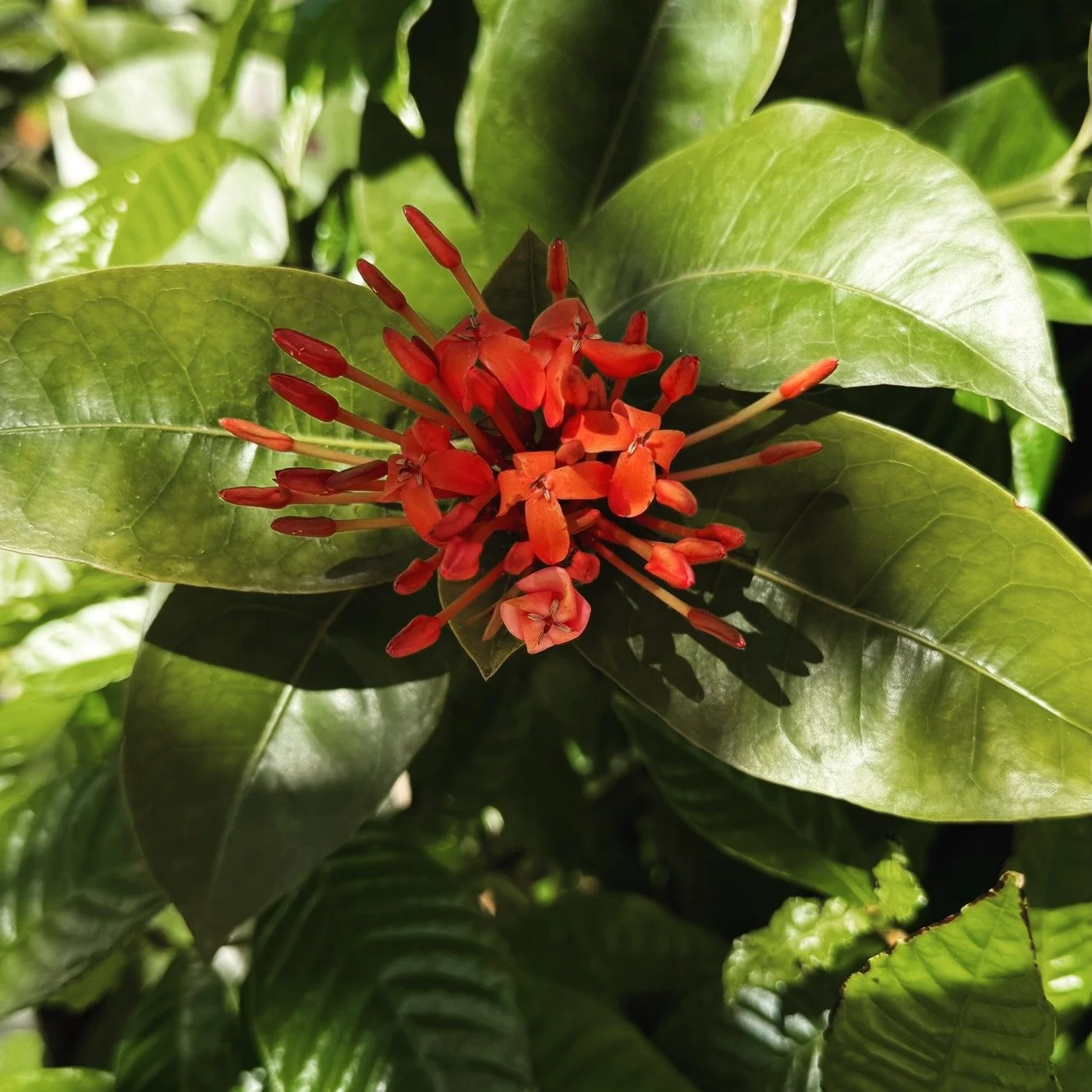 Happy Earth...Weekend. Come plant with us in Kenwood.
🌿 Morning Planting Details:
When: April 25th | 8:00 AM &ndash; 11:00 AM
Where: Meet at 2210 3rd Ave N for your volunteer assignment.
What to Bring: Your favorite gardening tools (we&rsquo;ll have