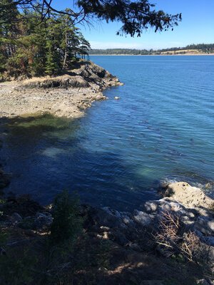 Southern Pocket Beach