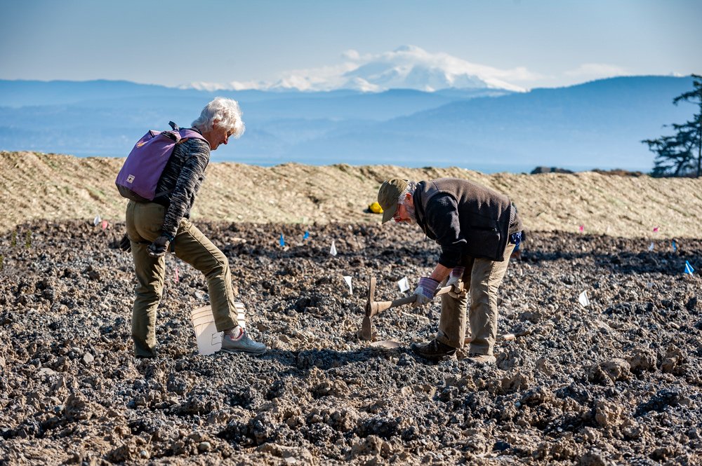 Aisten-Tree-Planting.jpg