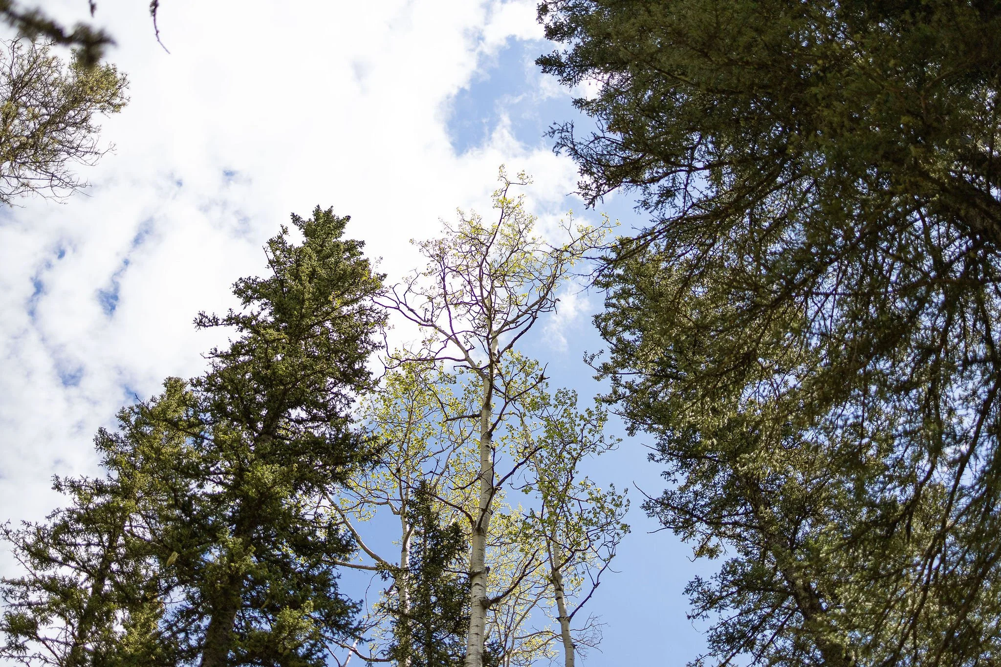 H4H2524May18.JPG