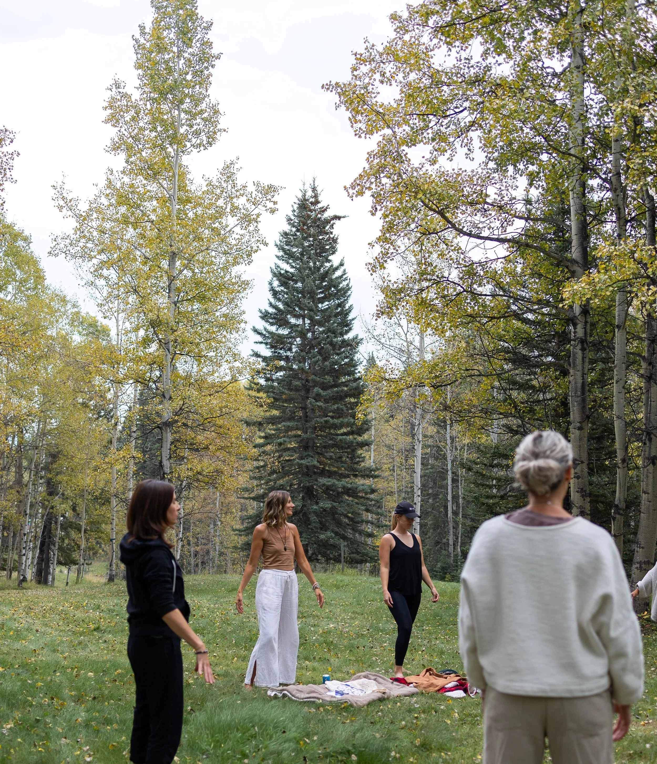 Healing for Healers: Transform Your Fear to Rise into Your Medicine