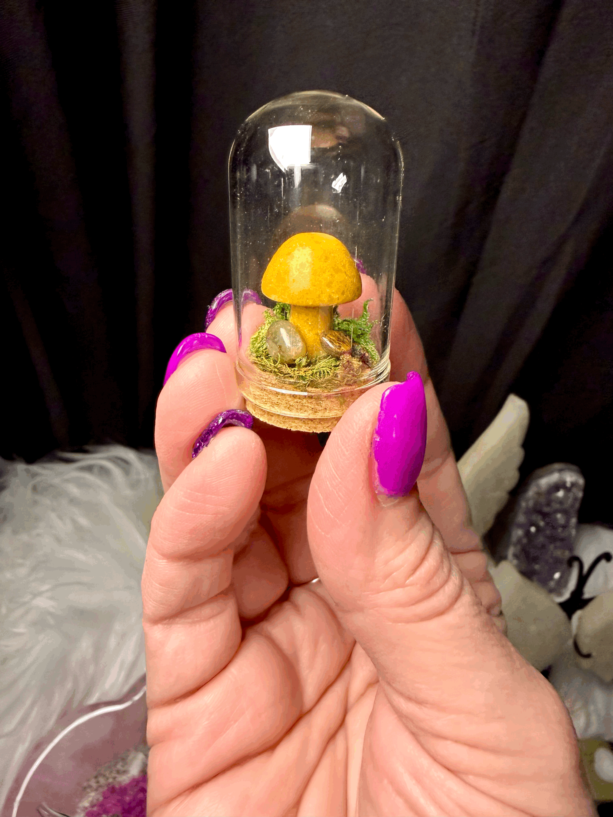 Mini Mushroom Terrarium No Magnet