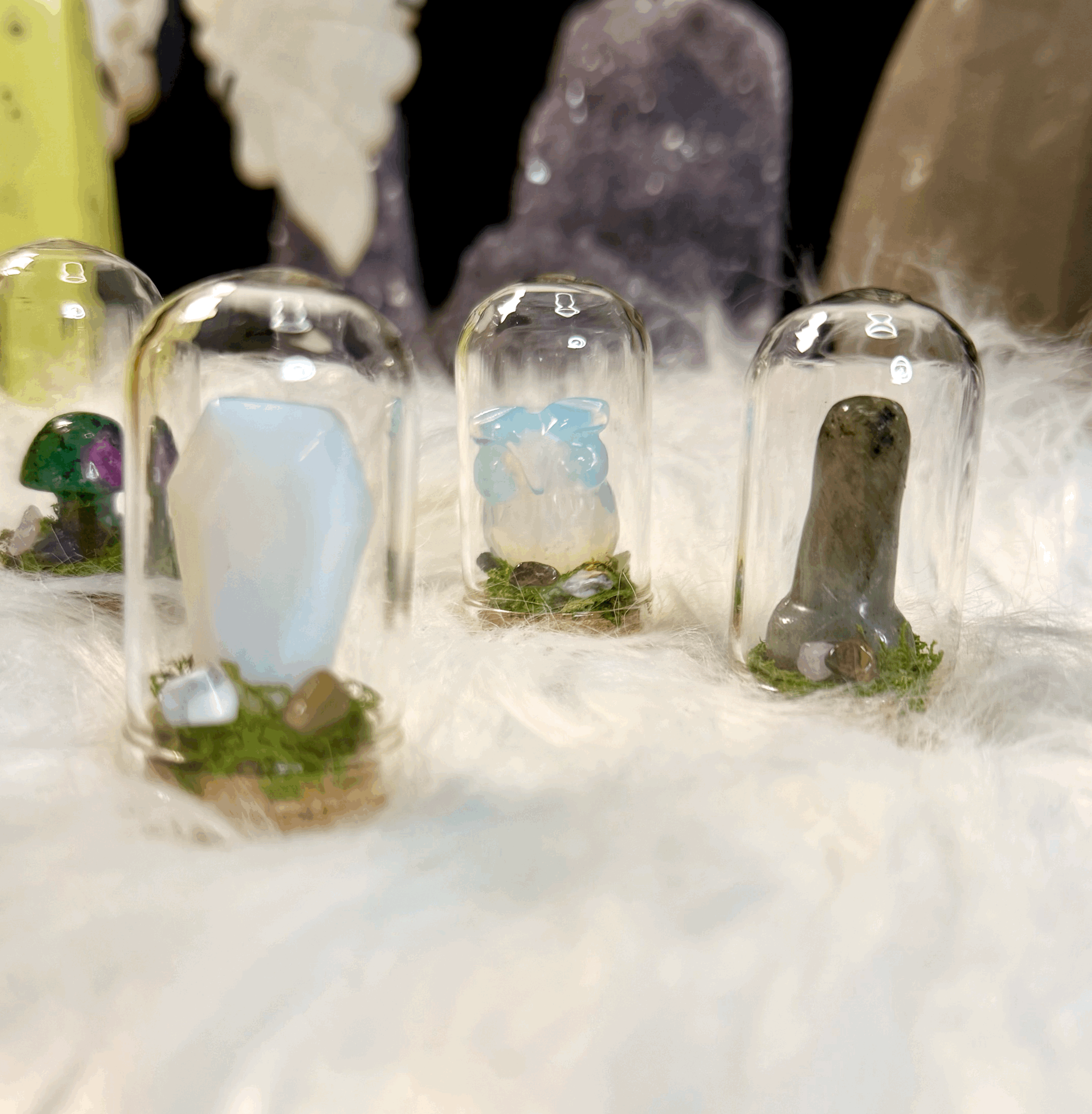 Magnet Owl Terrarium