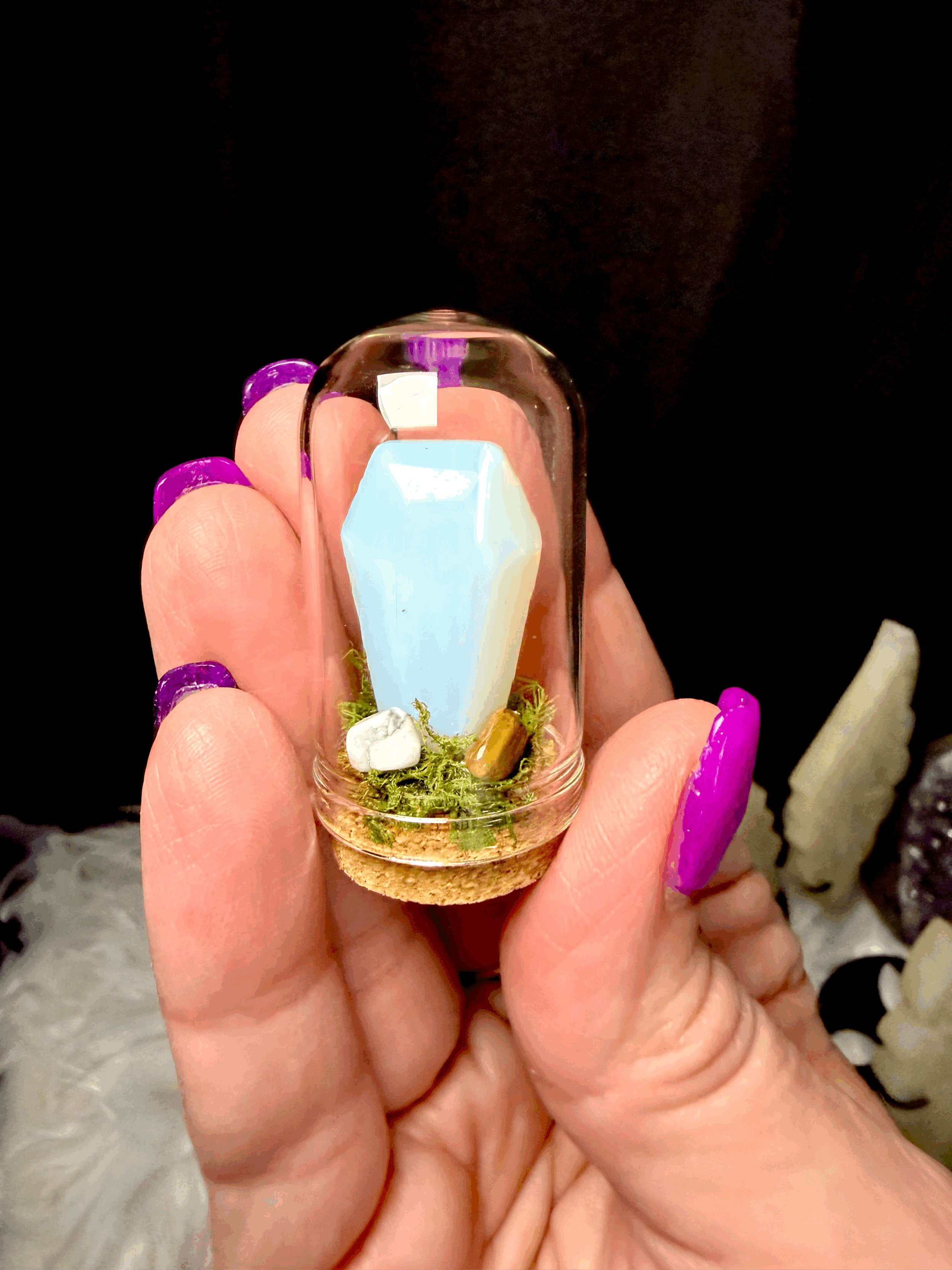 Magnet Coffin Terrarium