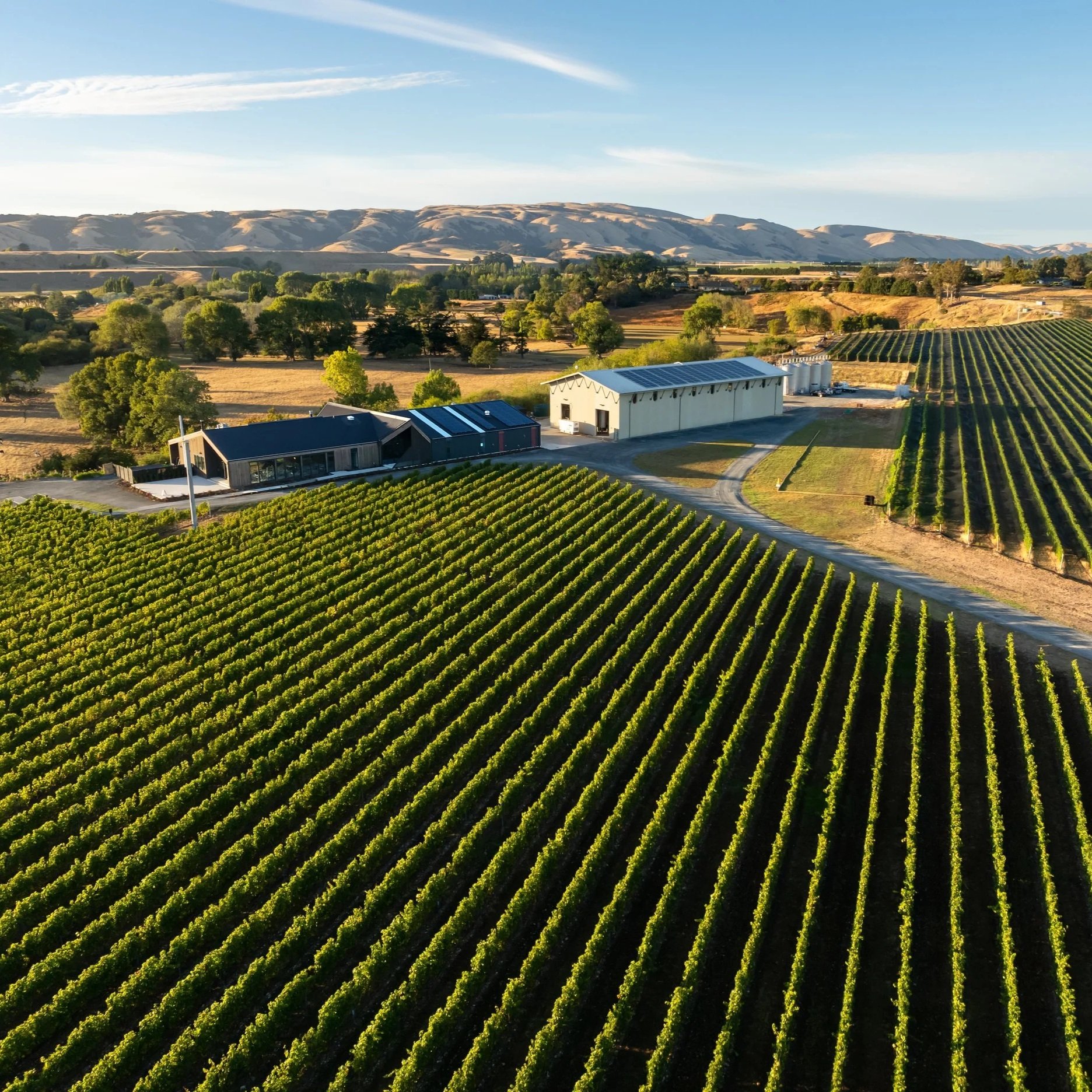 Aerial view of a vineyard with green grapevines, a modern building with a dark roof, and a large white storage shed surrounded by rolling hills and countryside under a blue sky.