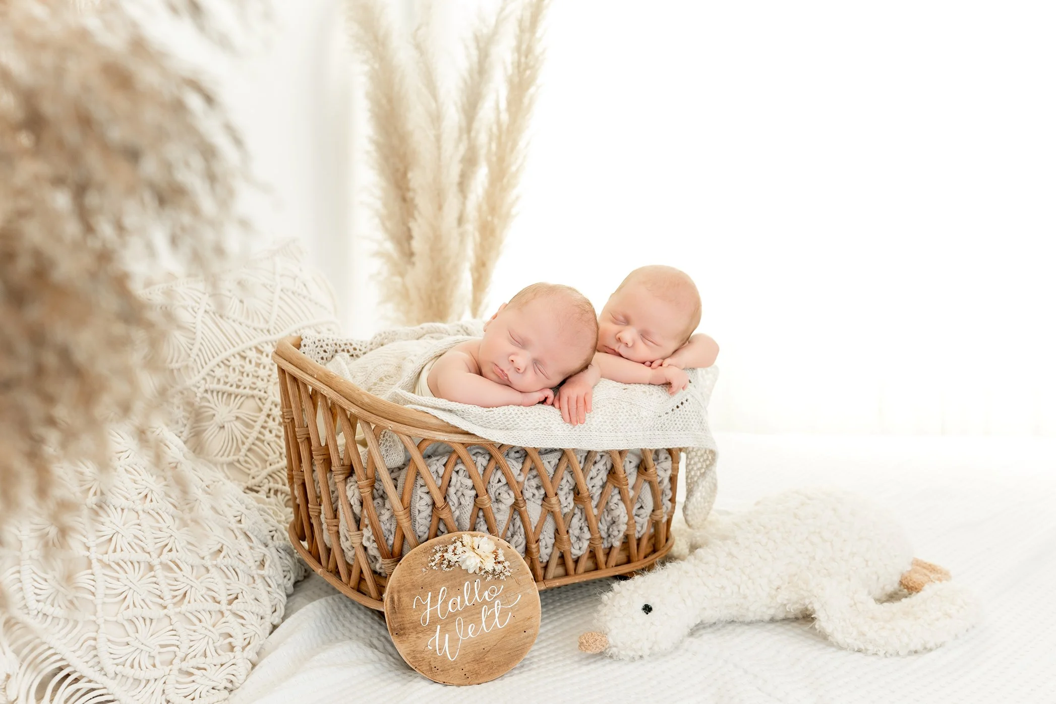 Zwillinge Shooting Saarland Babyfotos Saarbrücken - Juli Susann Photographie