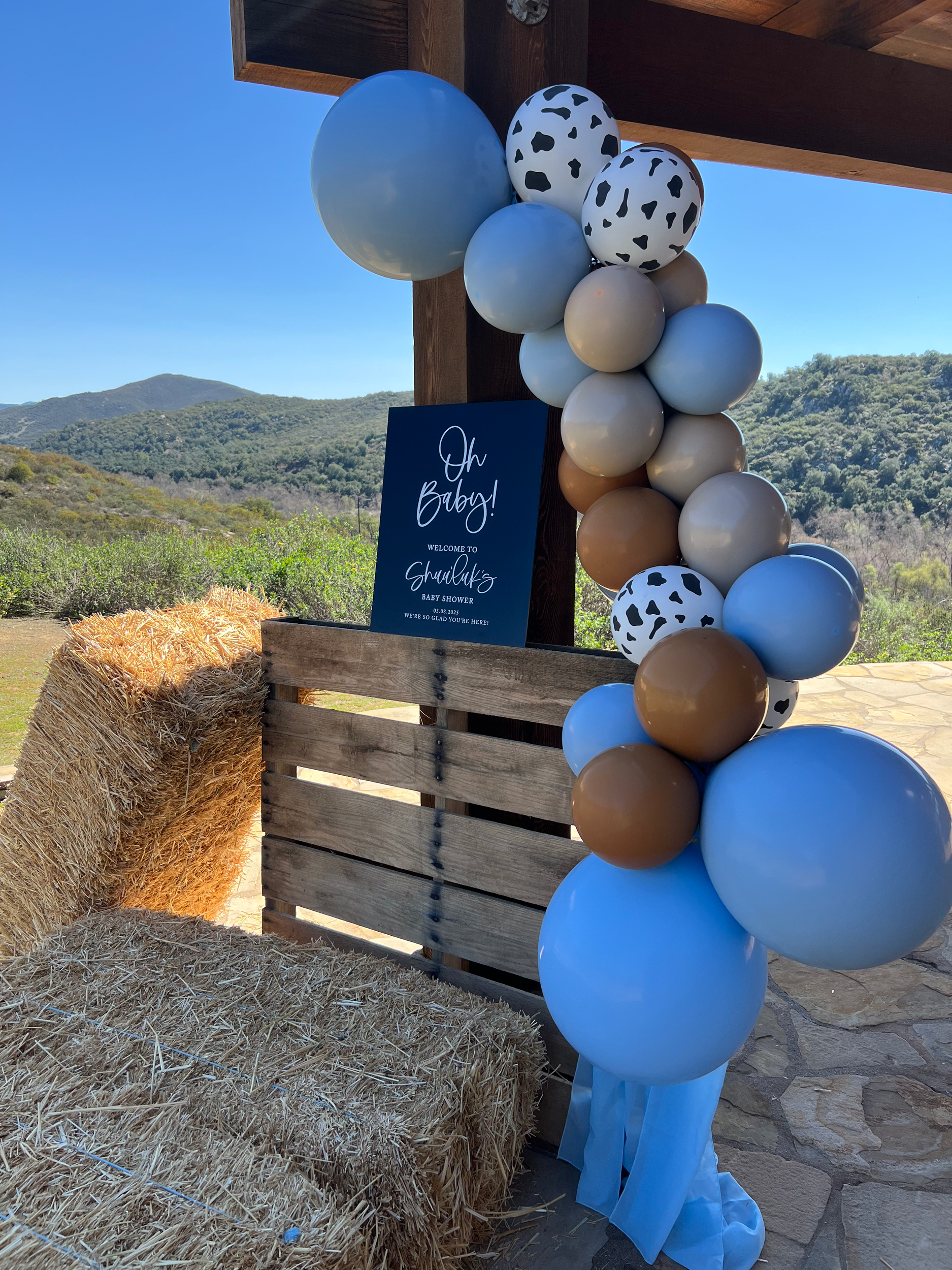 A rustic outdoor baby shower decoration featuring balloons in shades of blue, beige, and animal print, alongside a welcome sign with the text "Oh Baby! Welcome to Shwauluk's Baby Shower," set against a scenic mountain view.