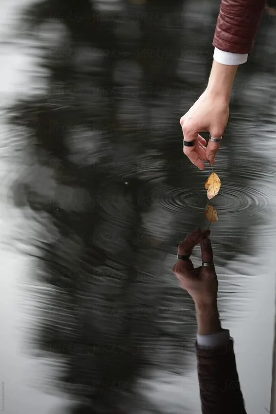 Entry 307