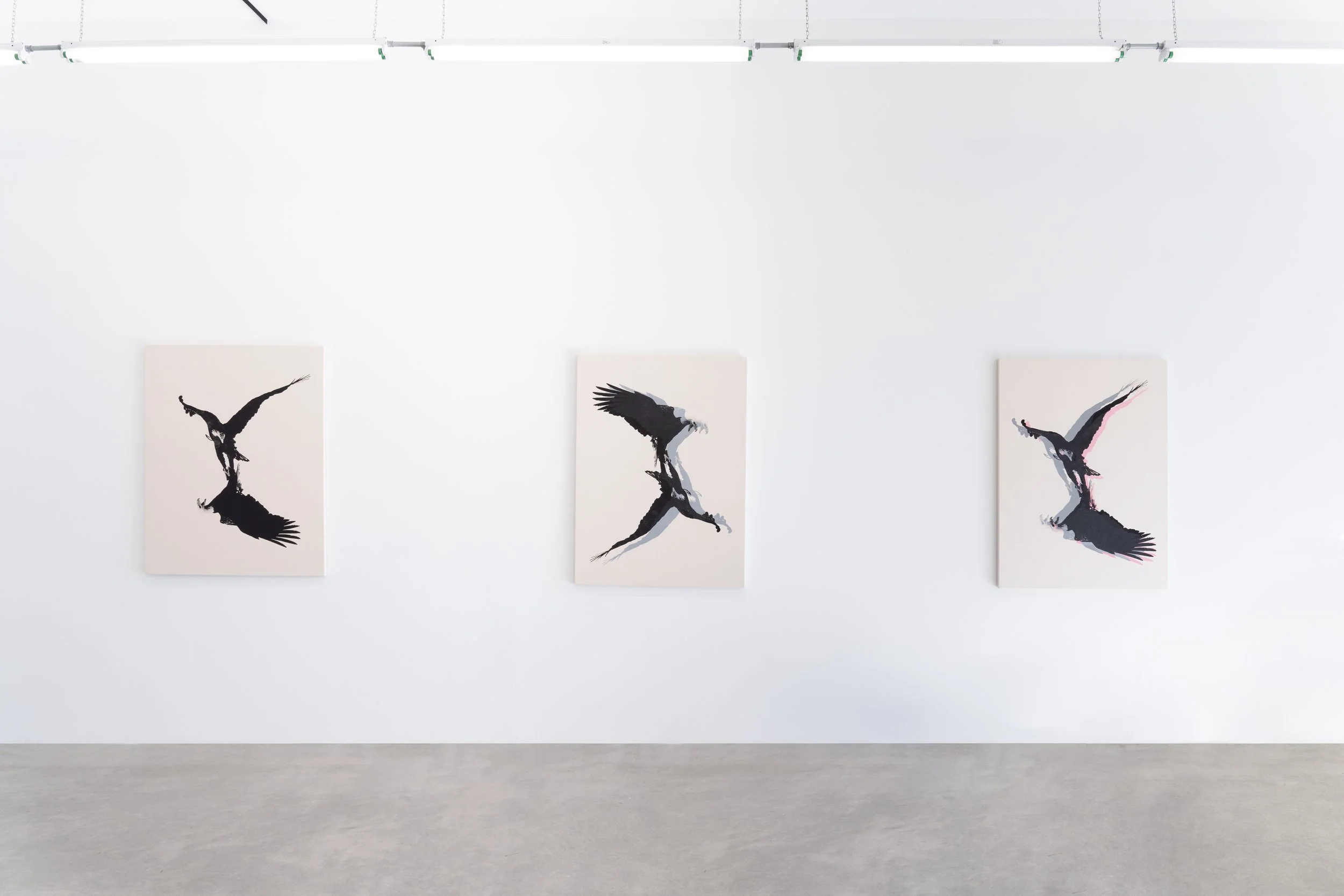 Death_Spiral_install - Iris Bernblum.jpg