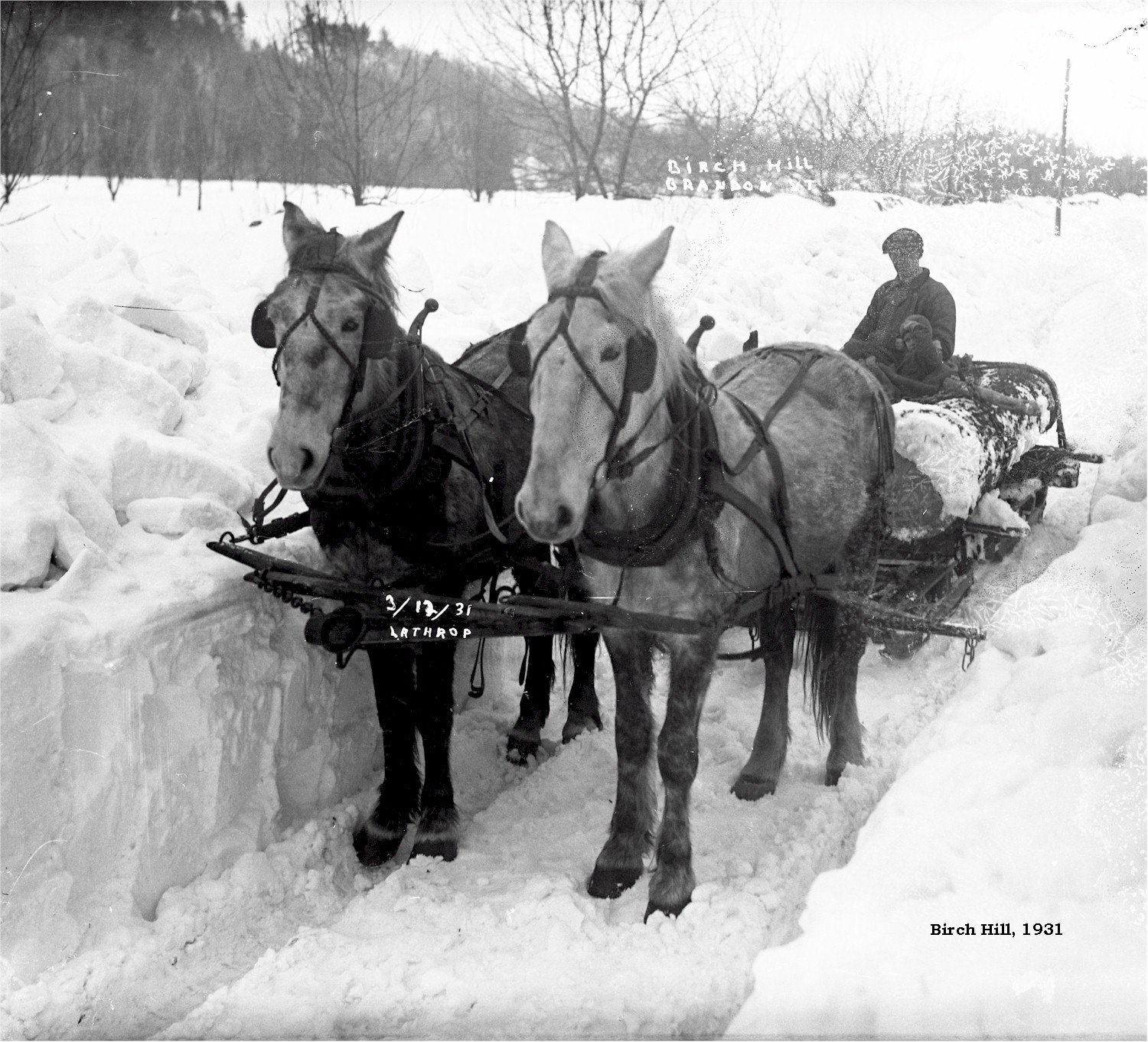 Unknown man at Birch Hill