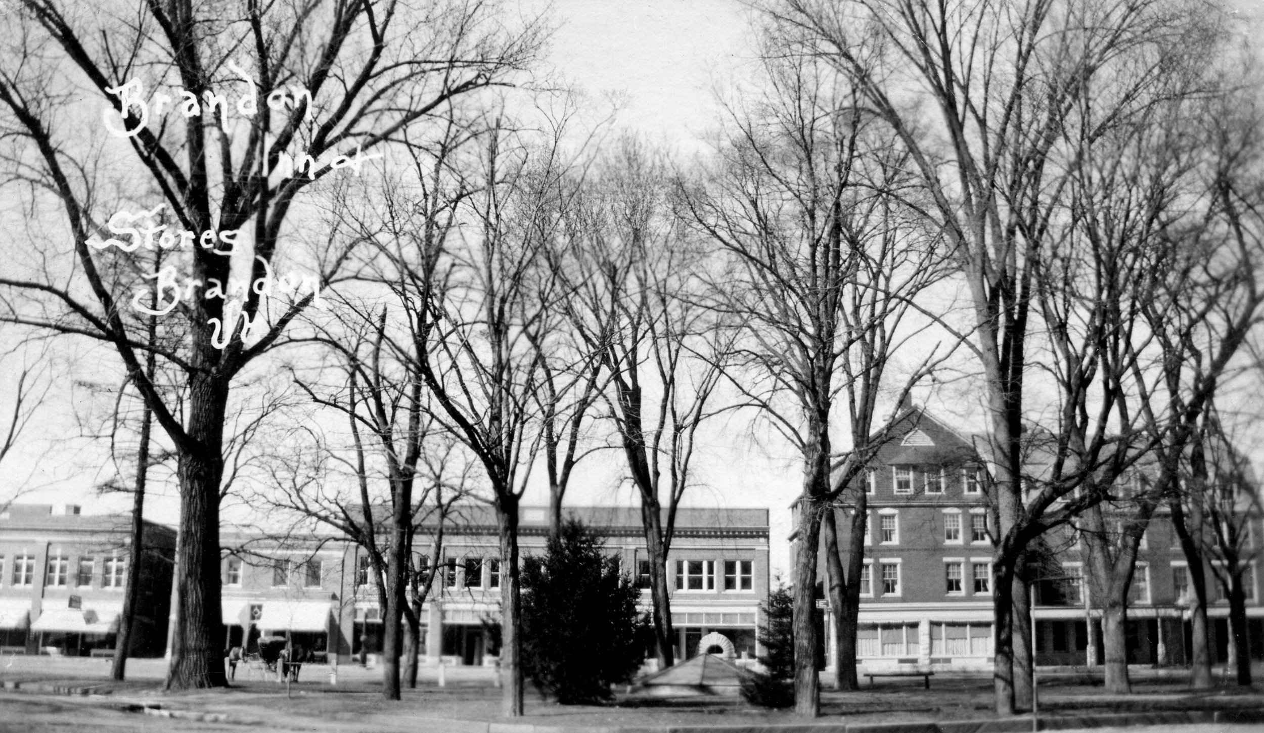 Center Park and businesses