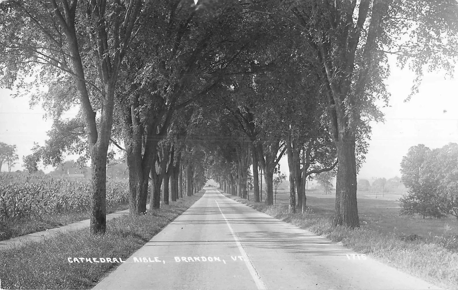 Cathedral Aisle (Route 7) looking south toward present day Estabrook Park on right