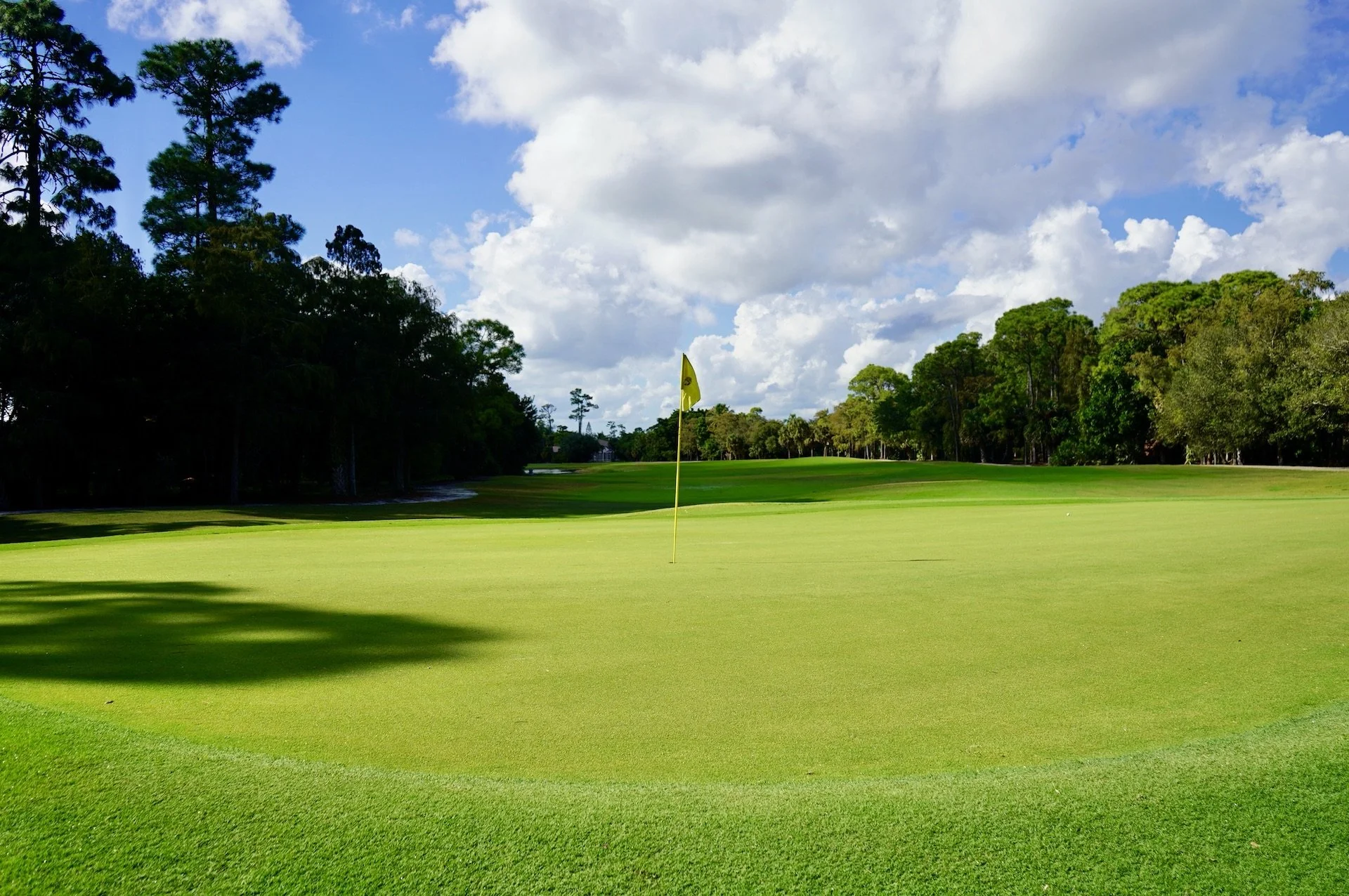 The Importance of Proactive Membership Sales &amp; How to Hone Your Process