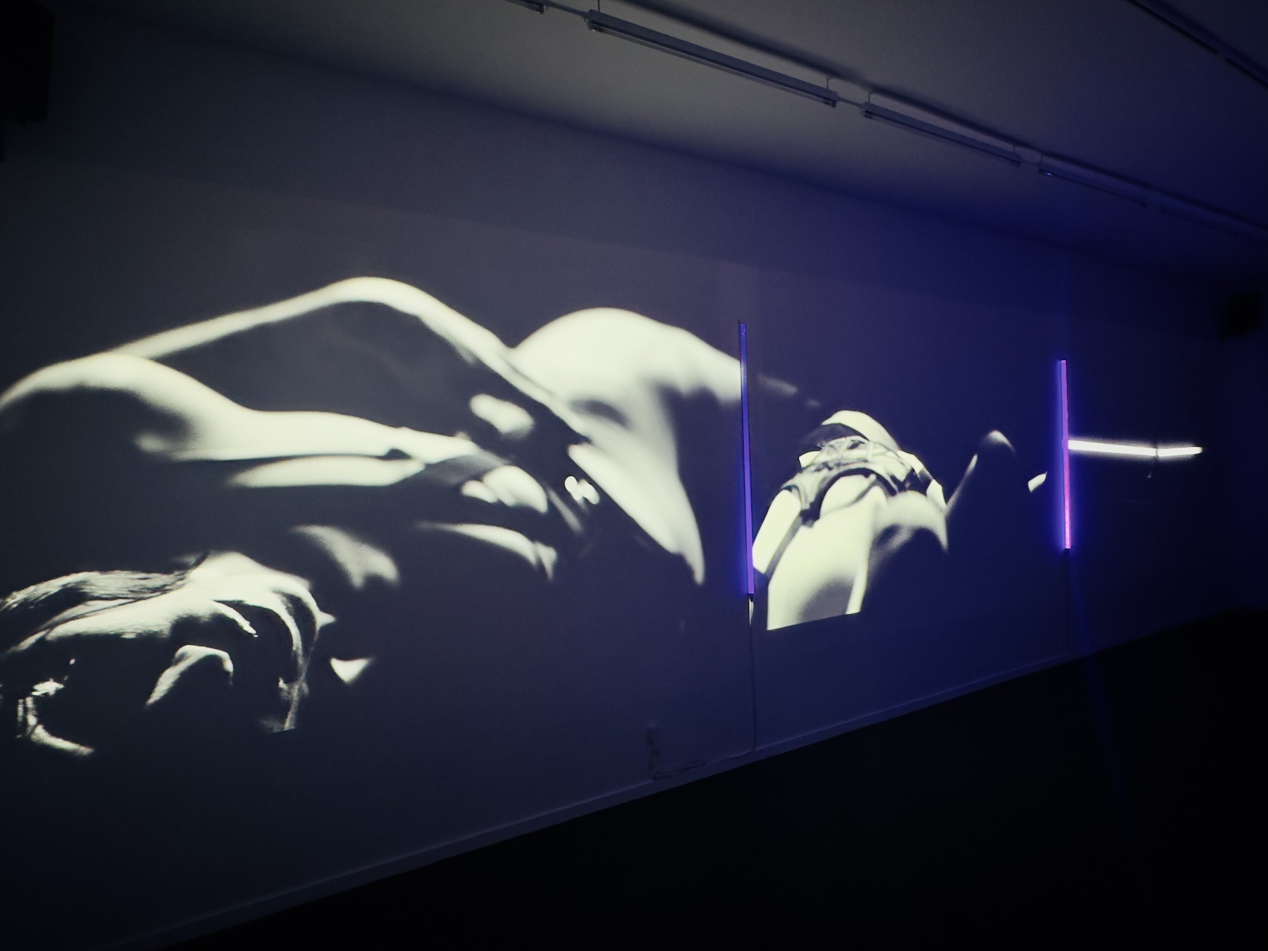 Michelle Handelman, DELIRIUM – PART ONE: DEATH (The Breakdown), 2023, multiscreen installation, photograph by Laure Leber