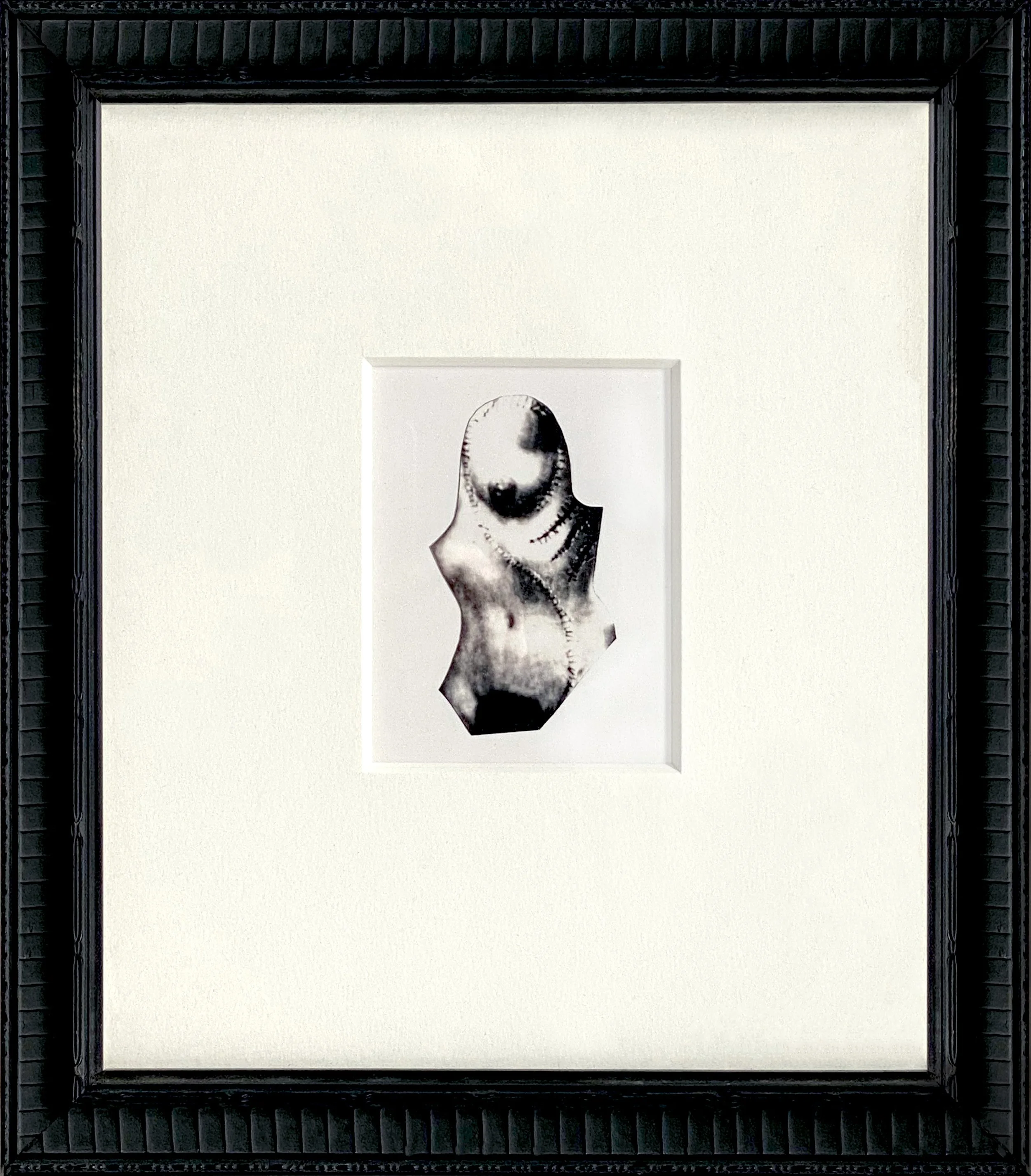 "Visual Surgery No. 1" from Blood, Guts and Beauty