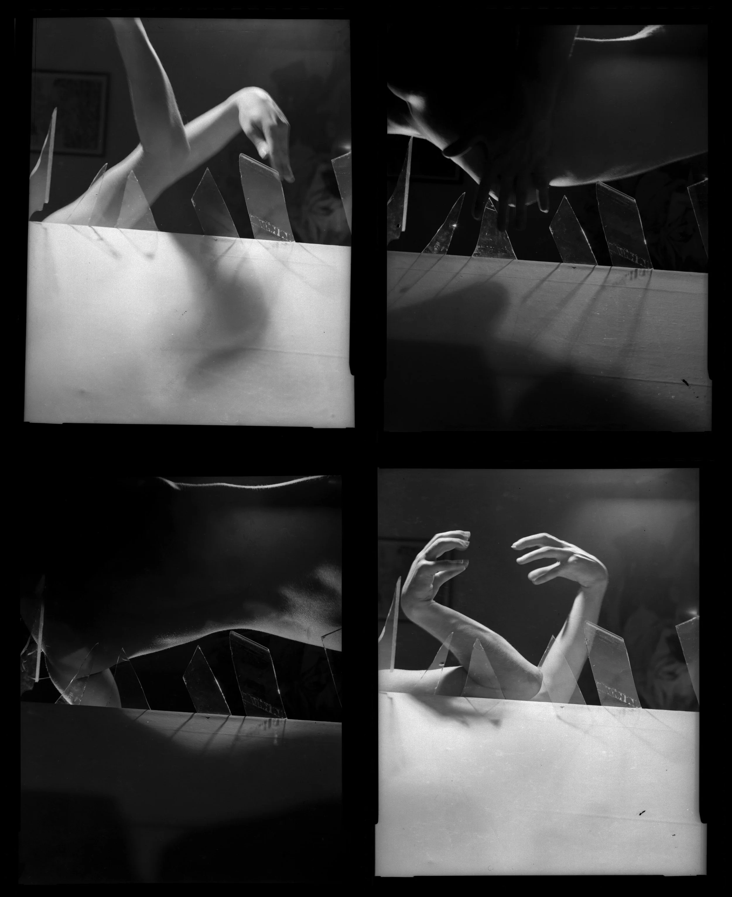 Untitled B&W 4x5" Contact Sheet (1981)