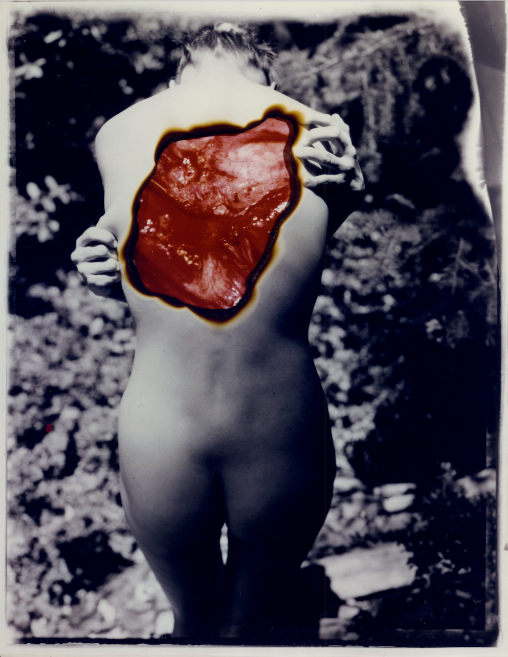 "Untitled" from Blood, Guts and Beauty