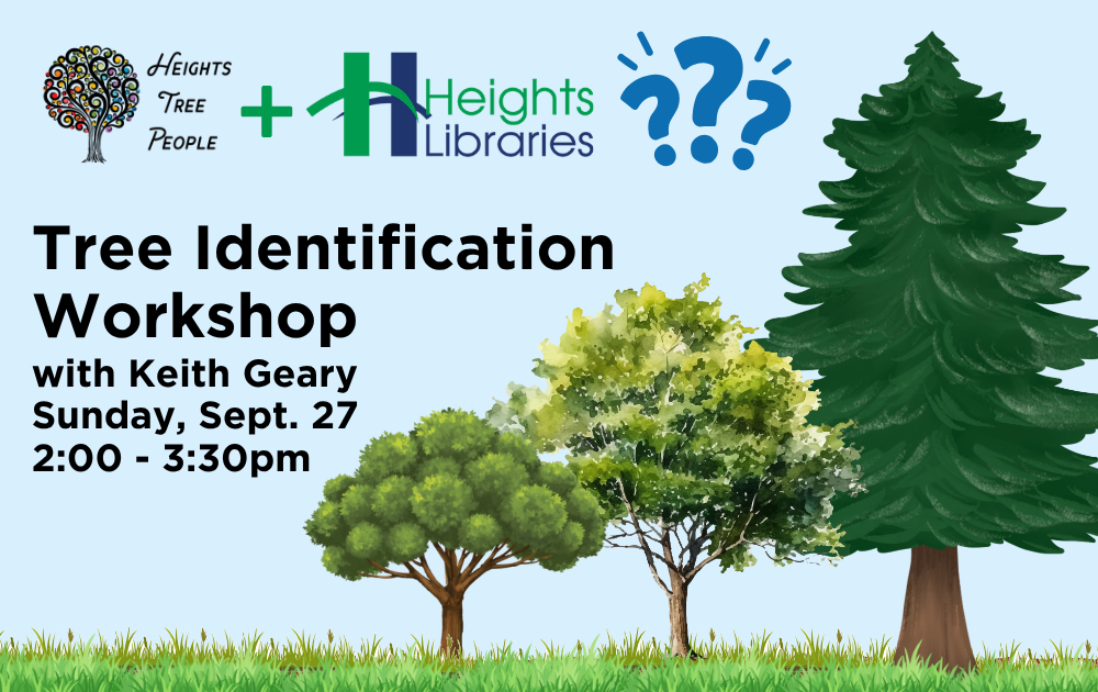 Tree Identification with Heights Tree People