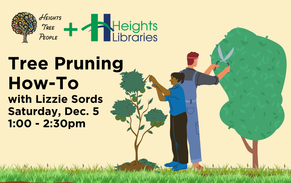 Tree Pruning How-To with Heights Tree People