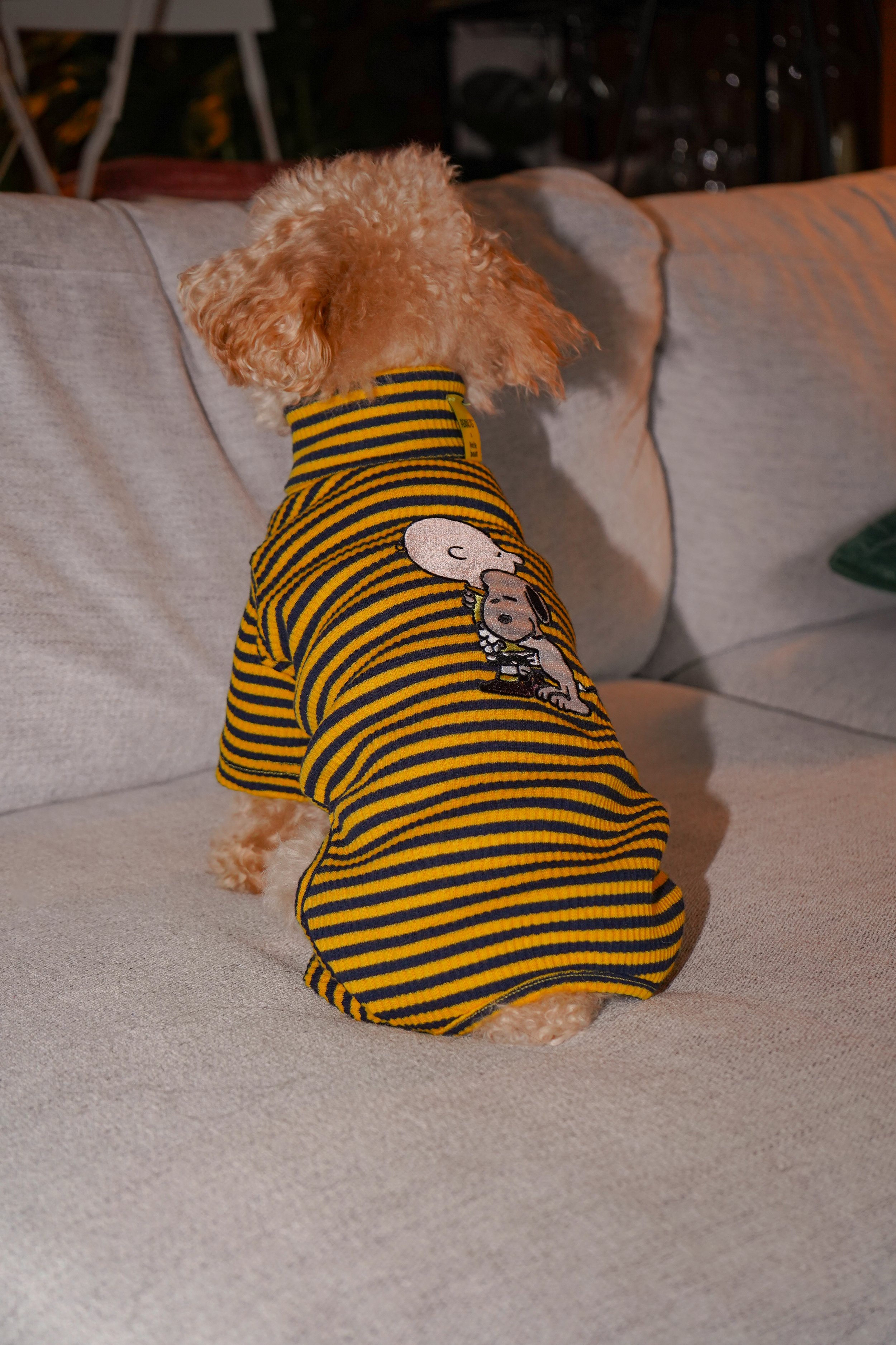 DSC09110.jpg