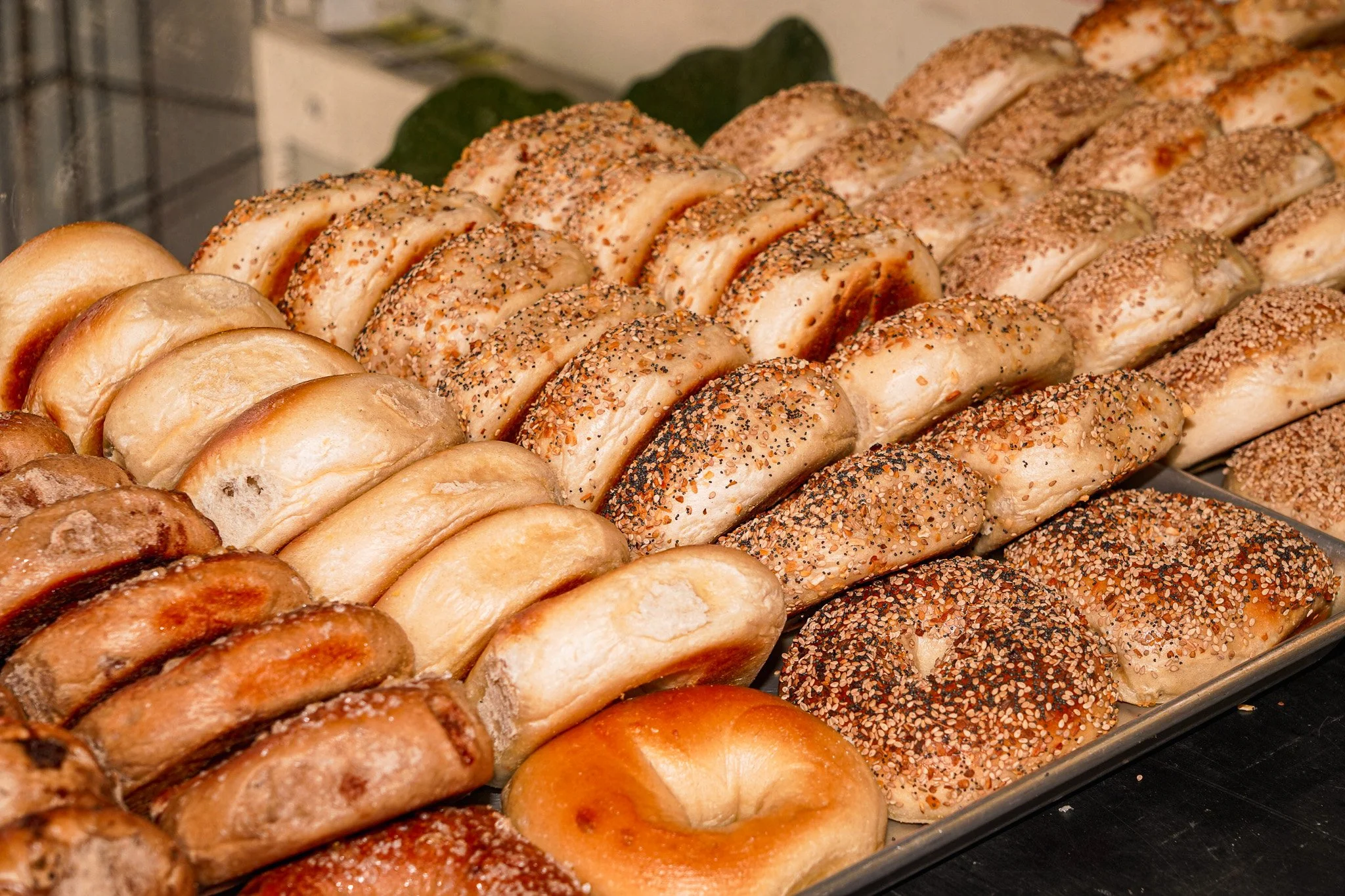 The Bagel Shop By Fox's