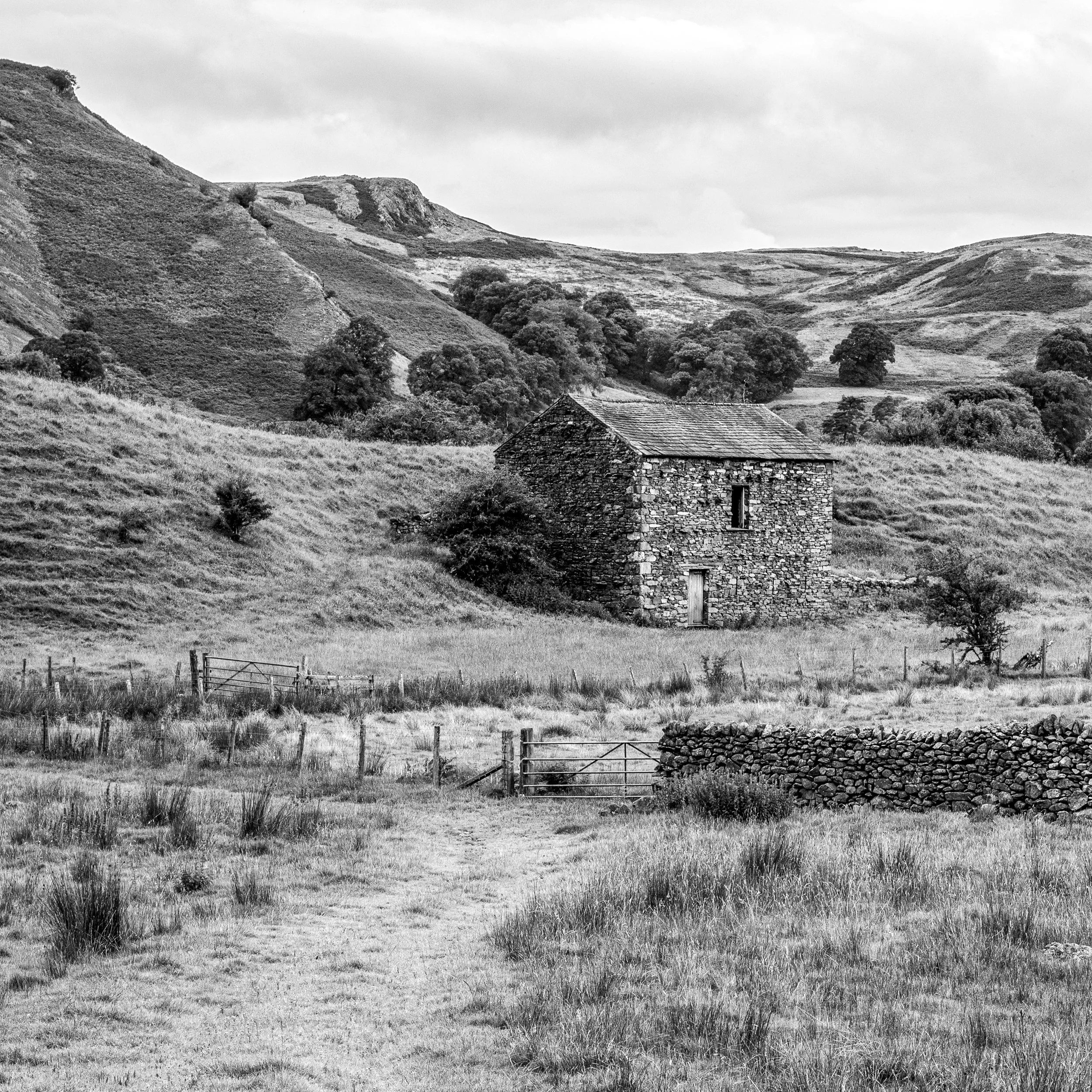 _DSC1598-Edit.jpg