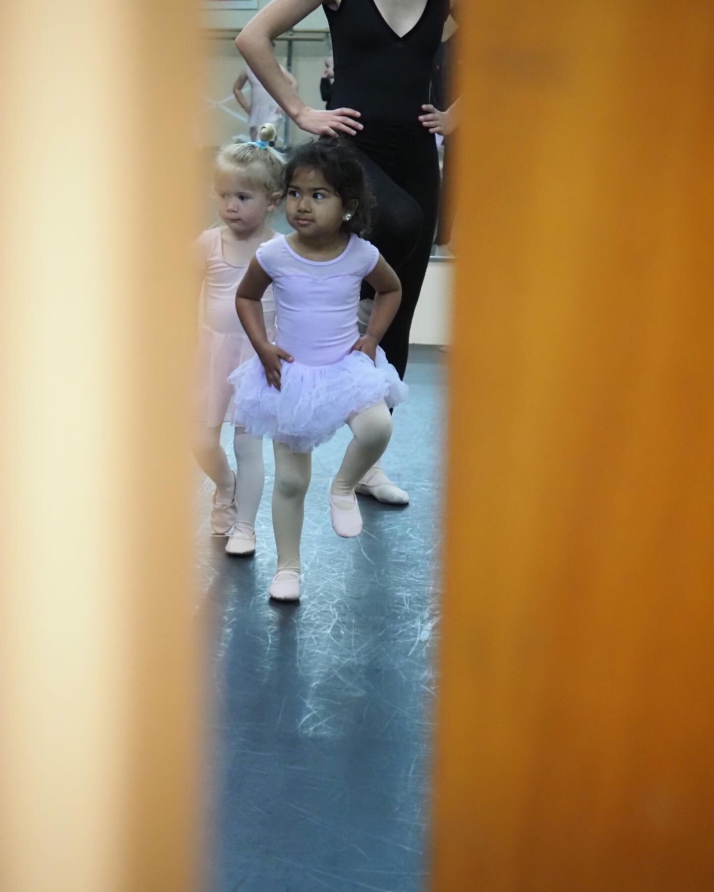 Peek into our cutest classes! Try Creative Movement Saturdays 9-9:30a or pre-ballet Wednesdays 2:45-3:30p or Saturday 9:30-10:15a! First class is free! 

#ballet #ballerinas #bunheads #balletgram #balletpost #balletlove #loveofballet #instaballet #in