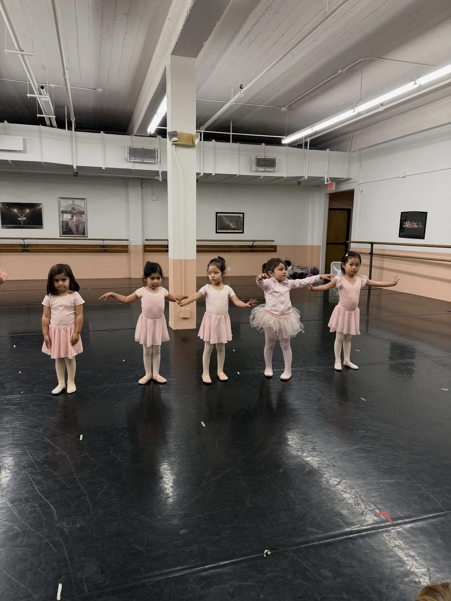 All students, from our youngest Creative Movement class to our advanced dancers, have been working hard to put together a show for you all! Don&rsquo;t miss it this Saturday!

#recital #recitalseason #ballet #ballerinas #bunheads #balletgram #balletp