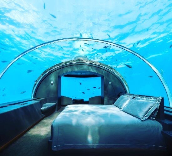 Taking room with a view to a whole new [under the sea] level&hellip;

📸 @conrad_maldives 

#honeymoon #handpickedhoneymoons #maldivestrip #maldiveshoneymoon #wildlifeaddicts #honeymoondestination #honeymoondeals #onceinalifetime #isaidyes #togetherf