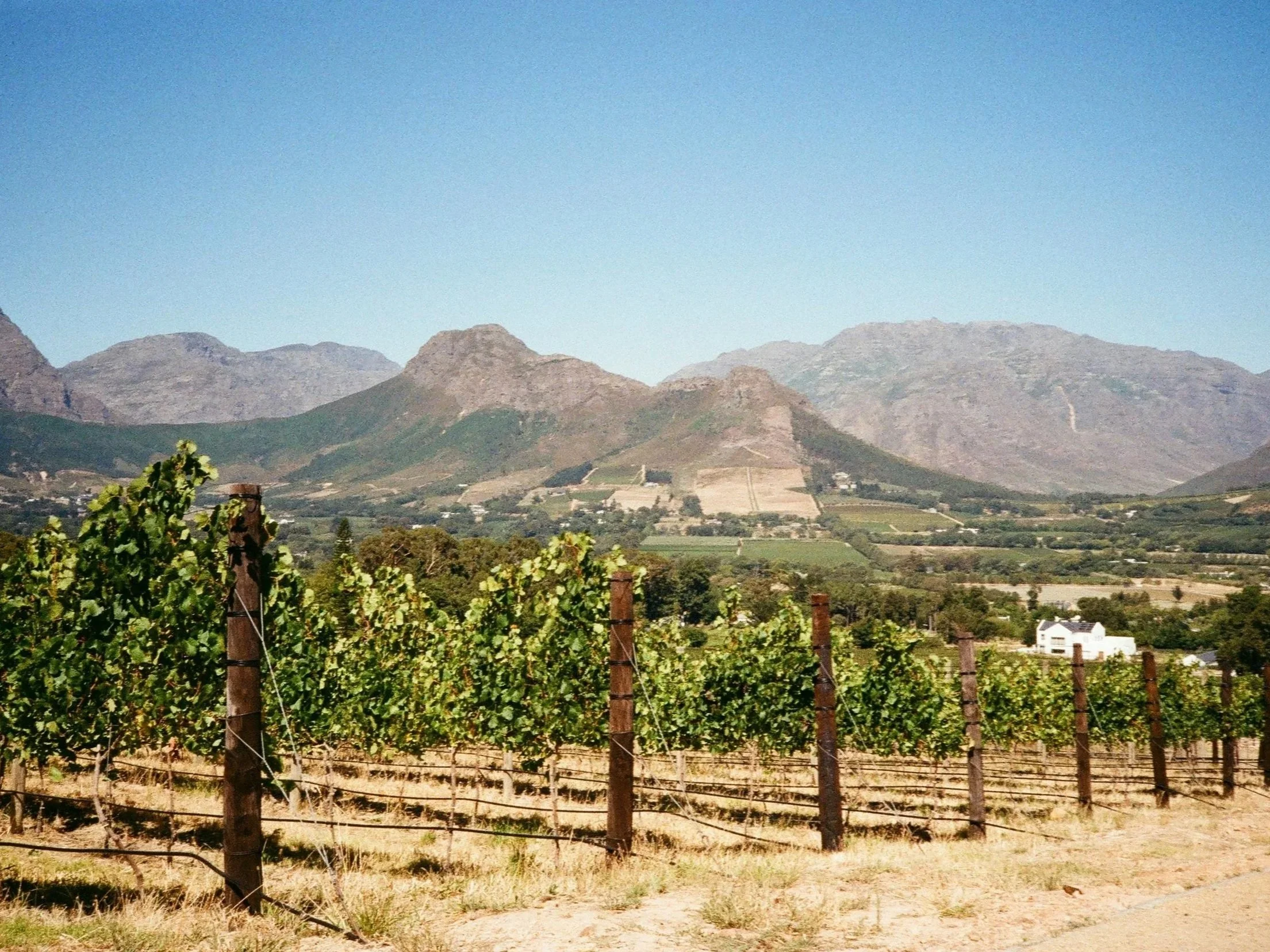 Franschhoek