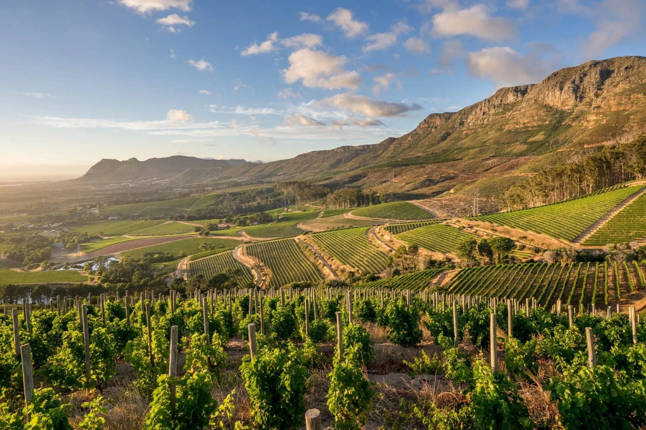 The Ultimate Itinerary: 16 Days in South Africa & The Seychelles