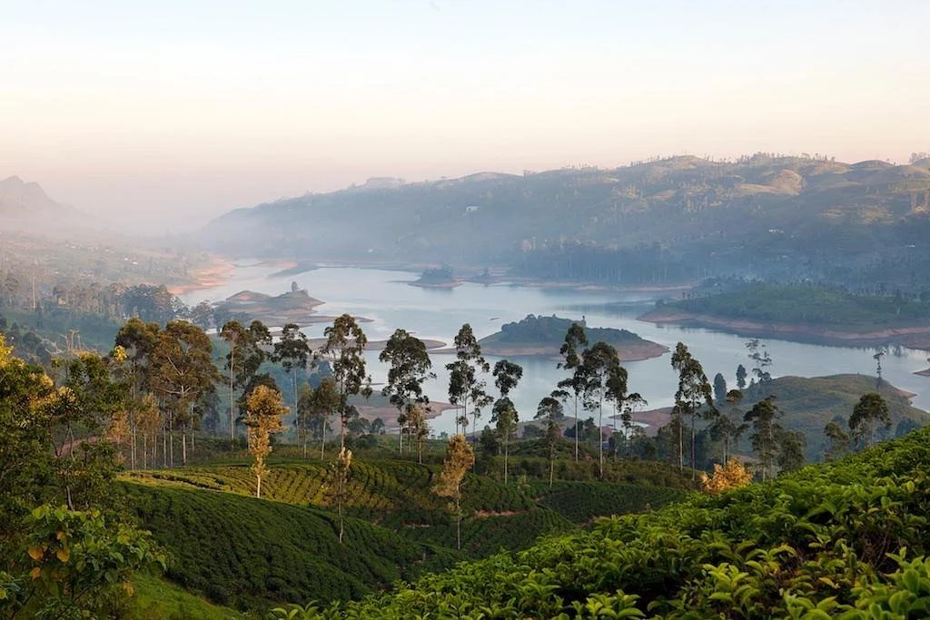 The Ultimate Itinerary: 14 Days in Sri Lanka &amp; The Maldives