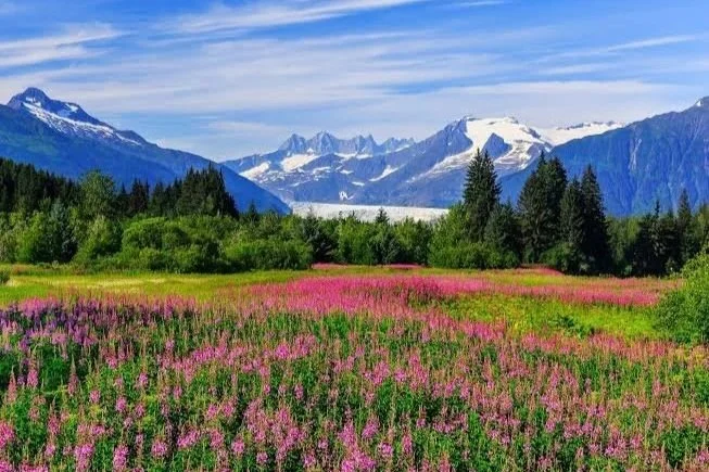 Alaska+1.jpg