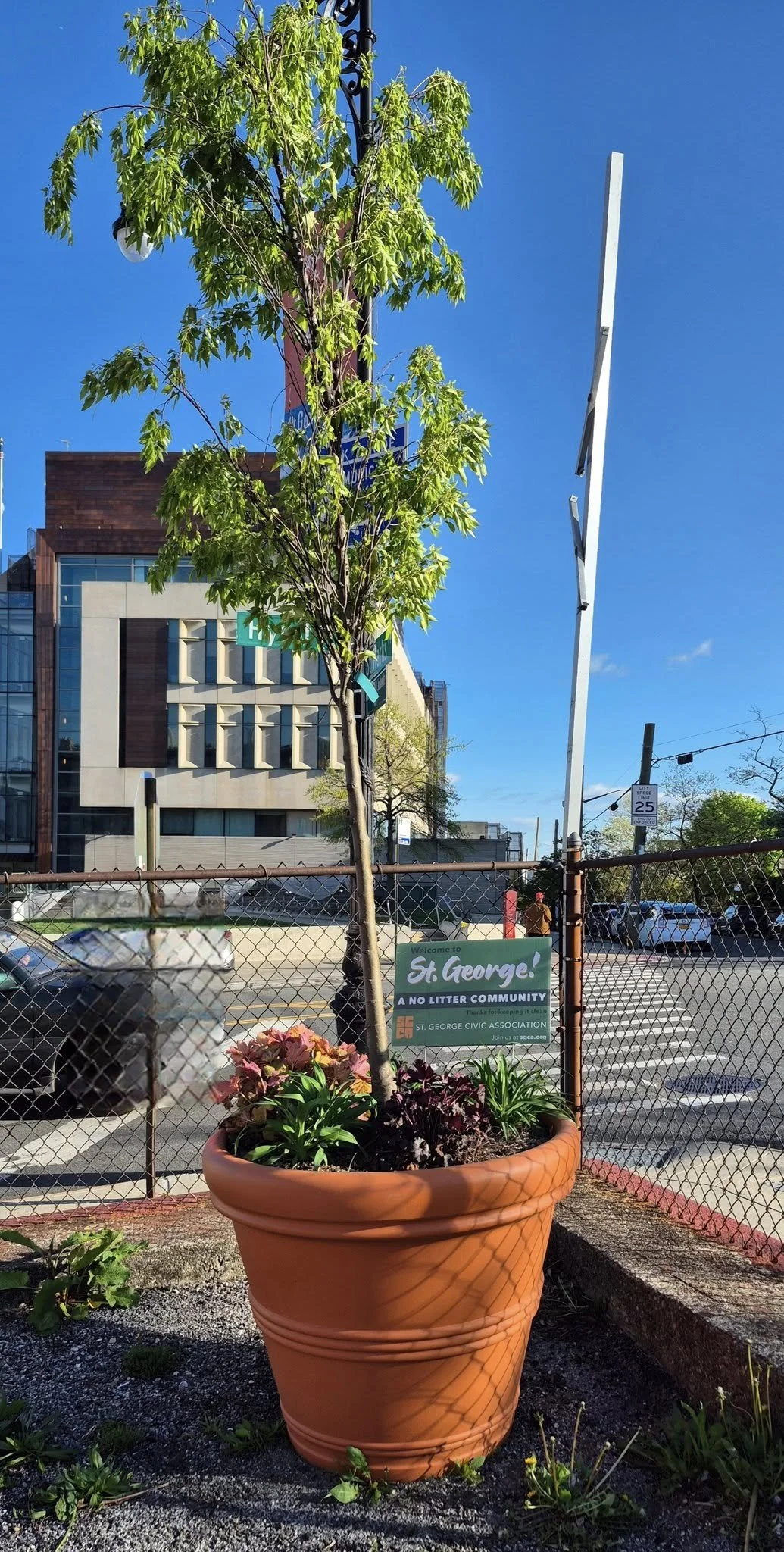 April 2025 SGCA Spring Planters Sprung - 1.jpg