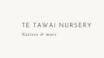 Te Tawai Nursery 