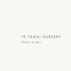 Te Tawai Nursery 