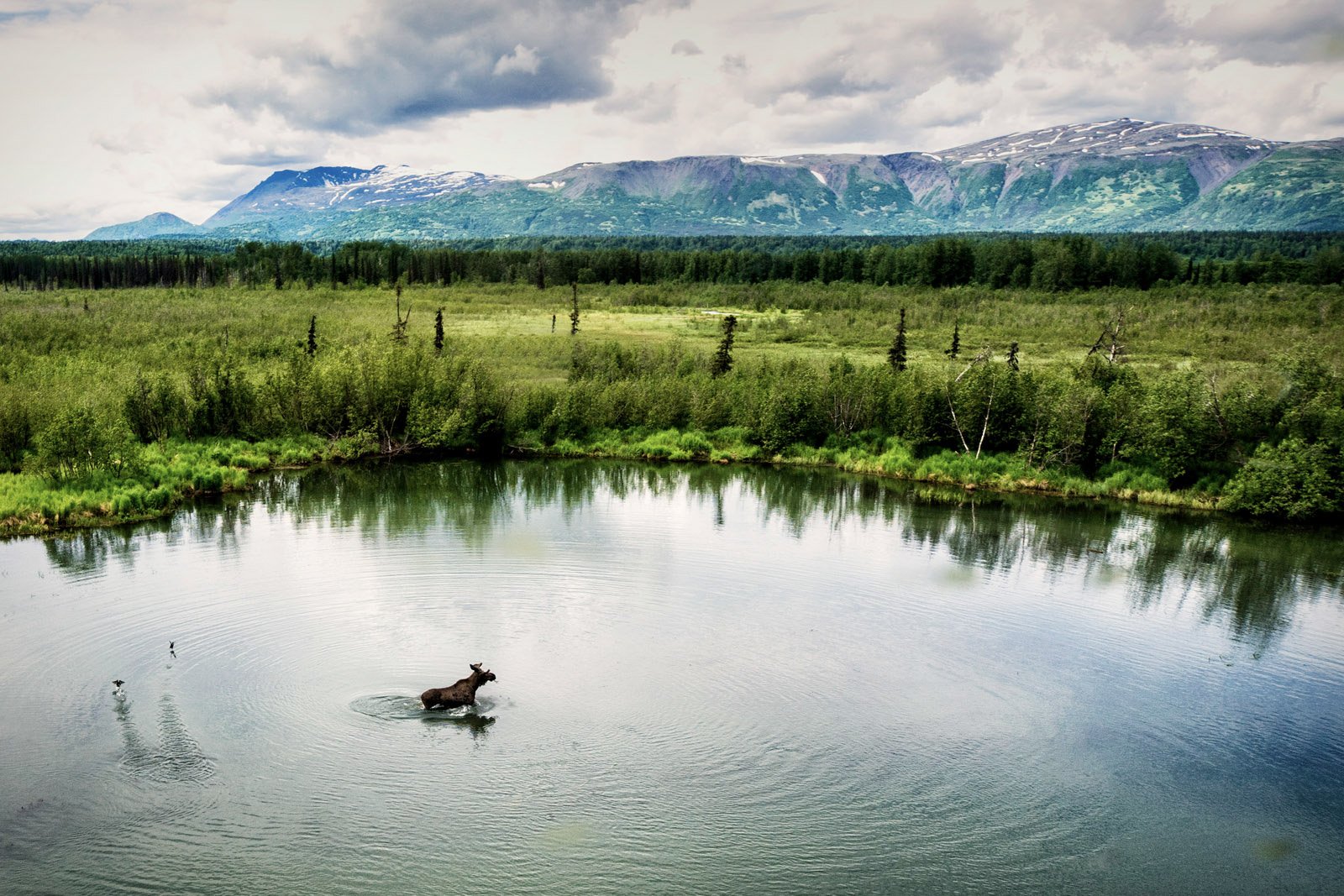 moose pond scenic.jpg