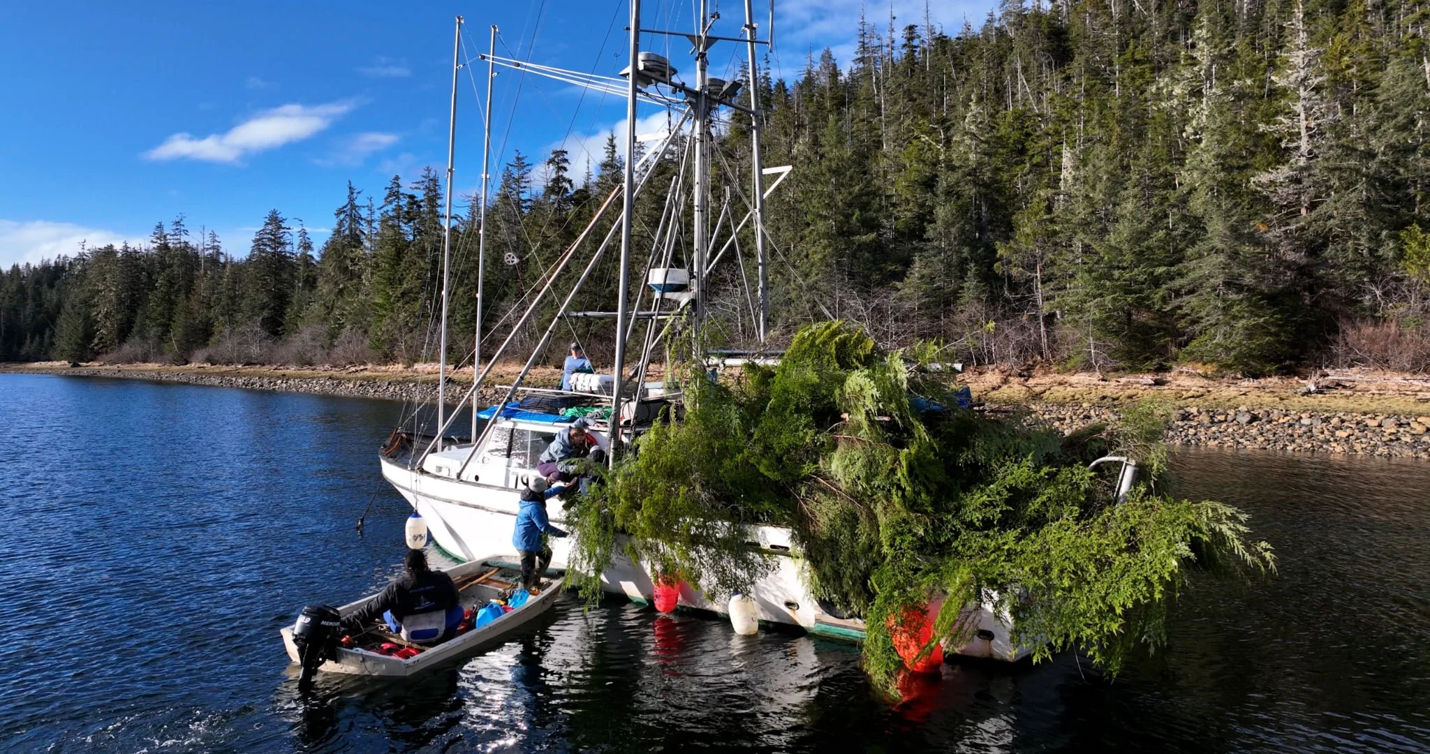 SalmonState