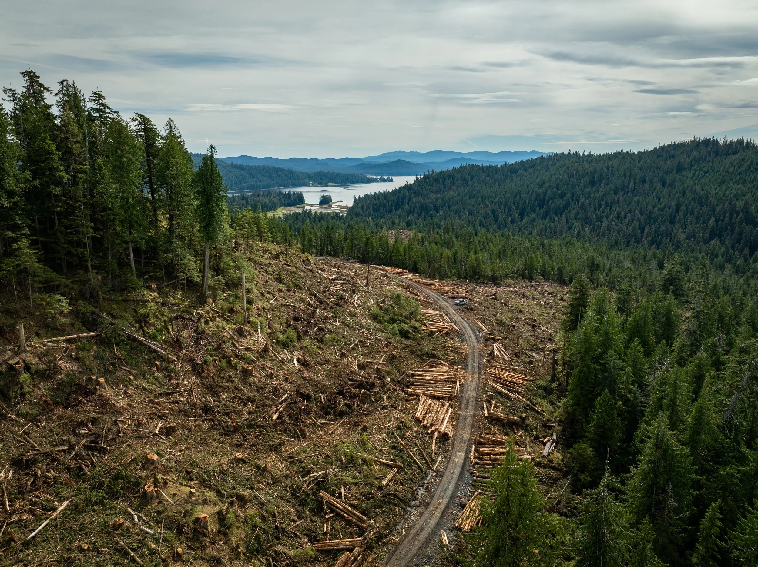 Southeast Alaska to Trump Administration on Roadless: “We’ve moved on.”