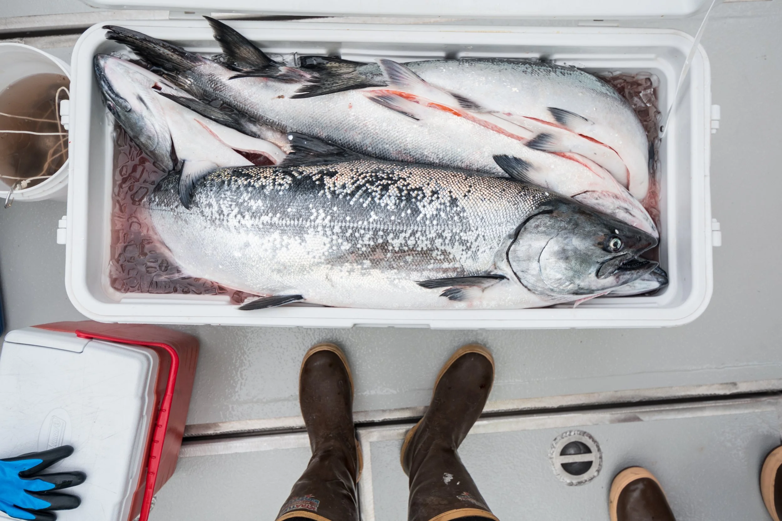 Fishermen and conservation groups call on Alaska's leaders to stand up ...