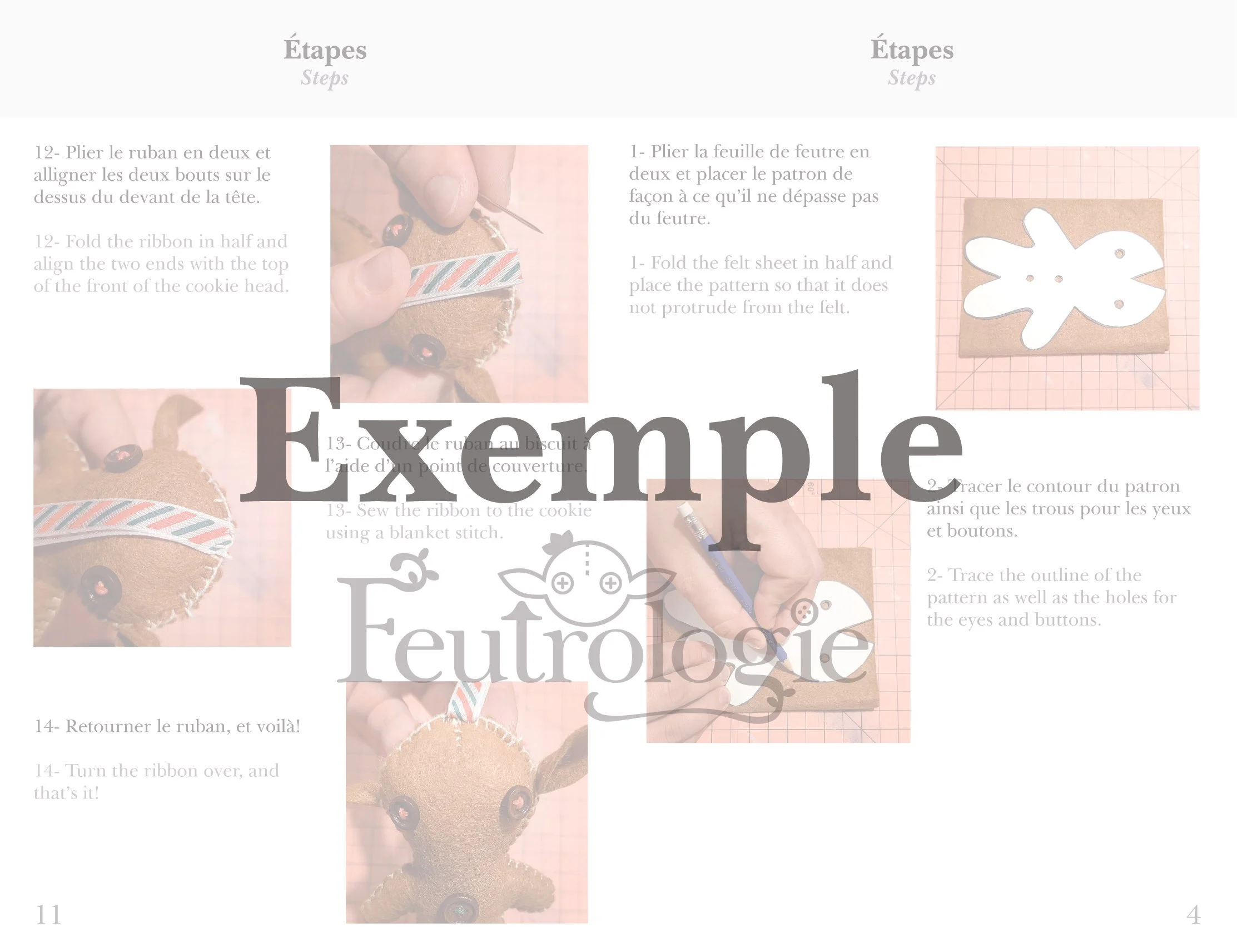 exp.jpg