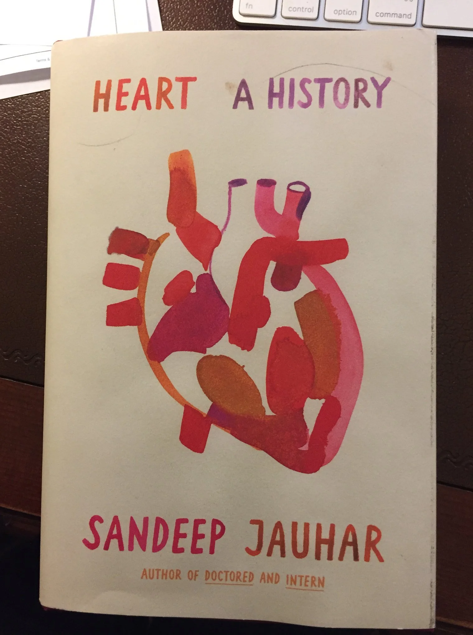 heart a history.jpeg