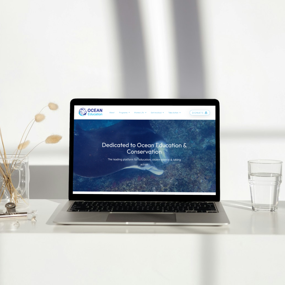 Minimalist Web Design - Ocean Conservation Website.png